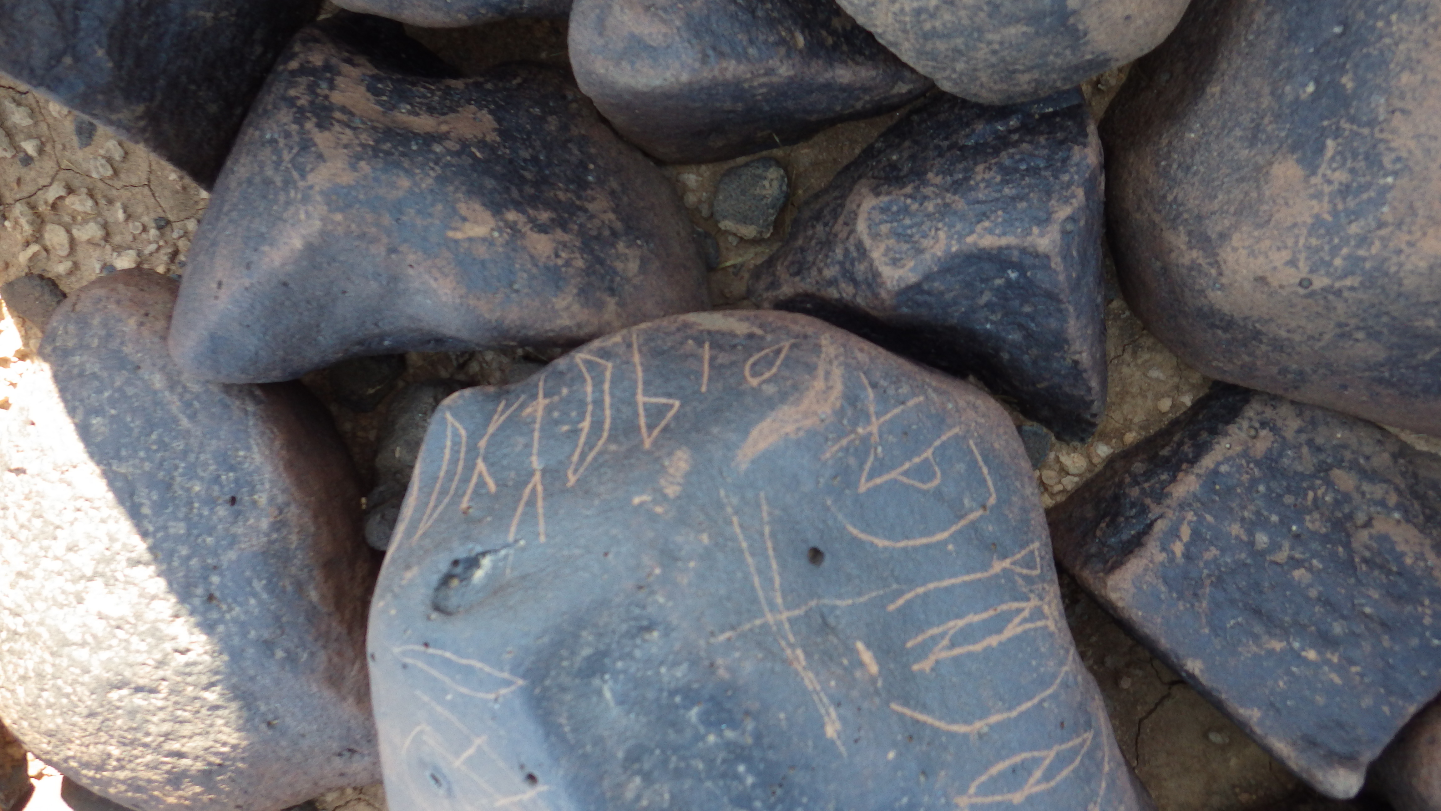 Image of siglum BES20 1269