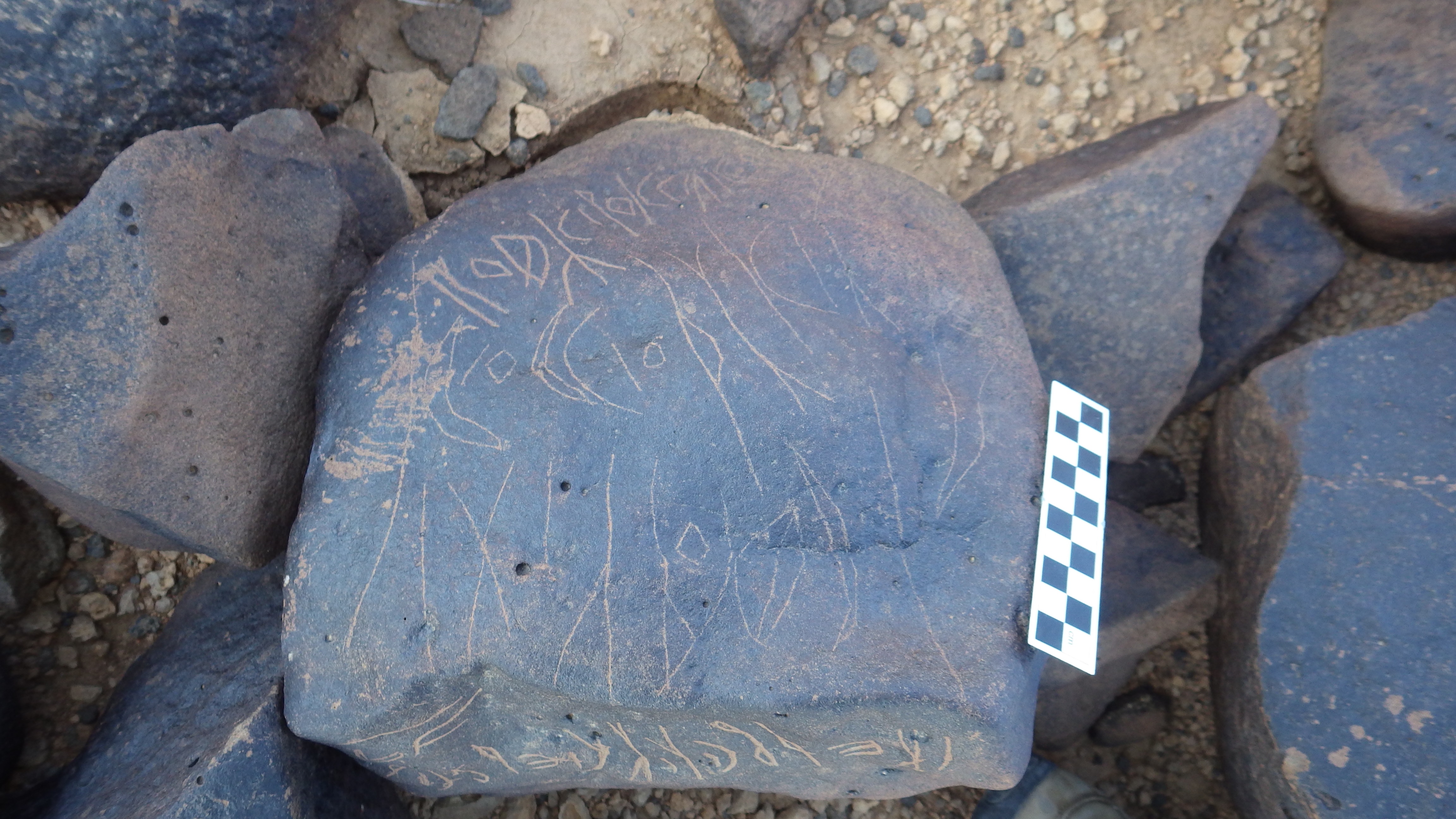 Image of siglum BES20 1275