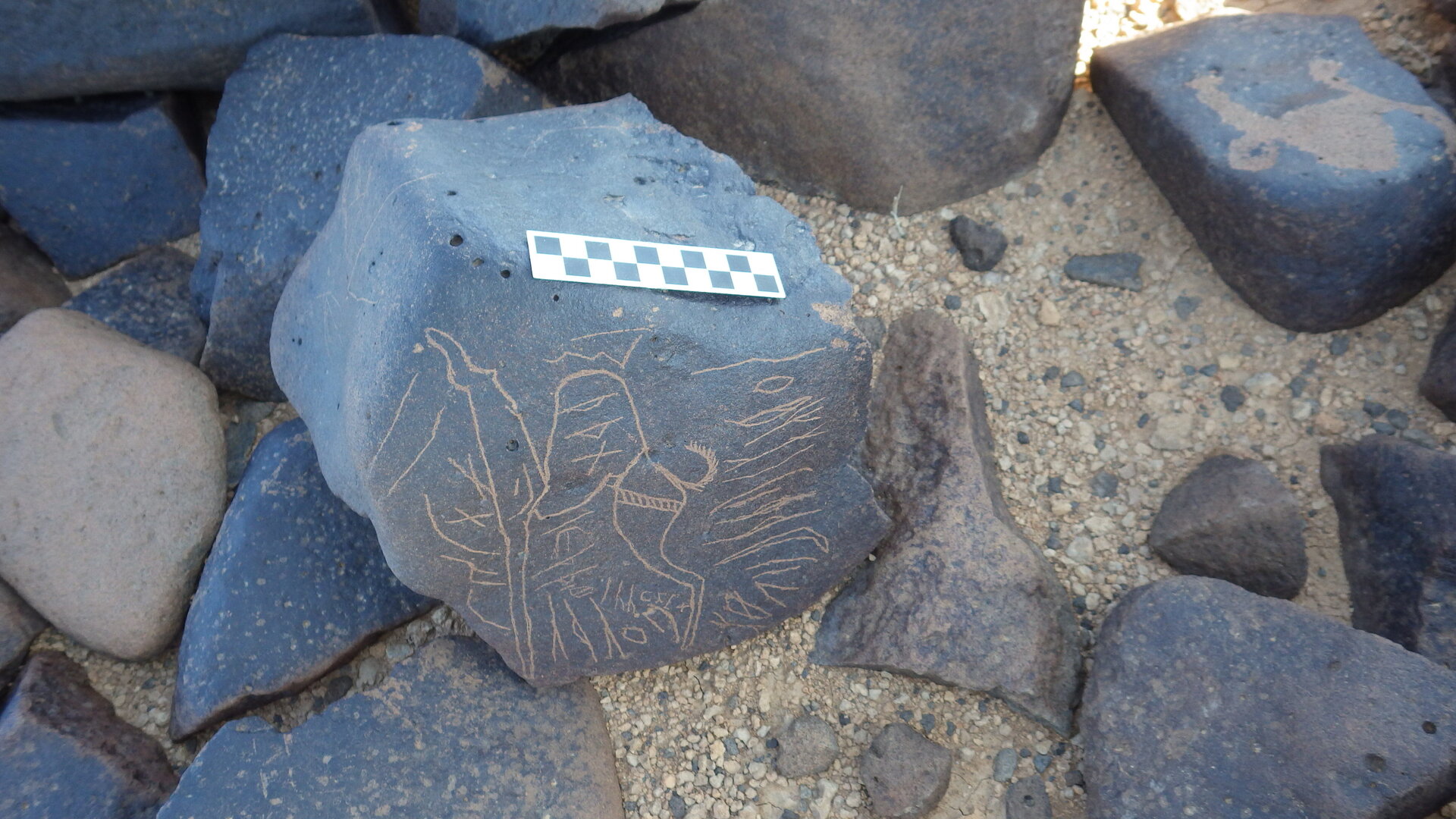 Image of siglum BES20 1281