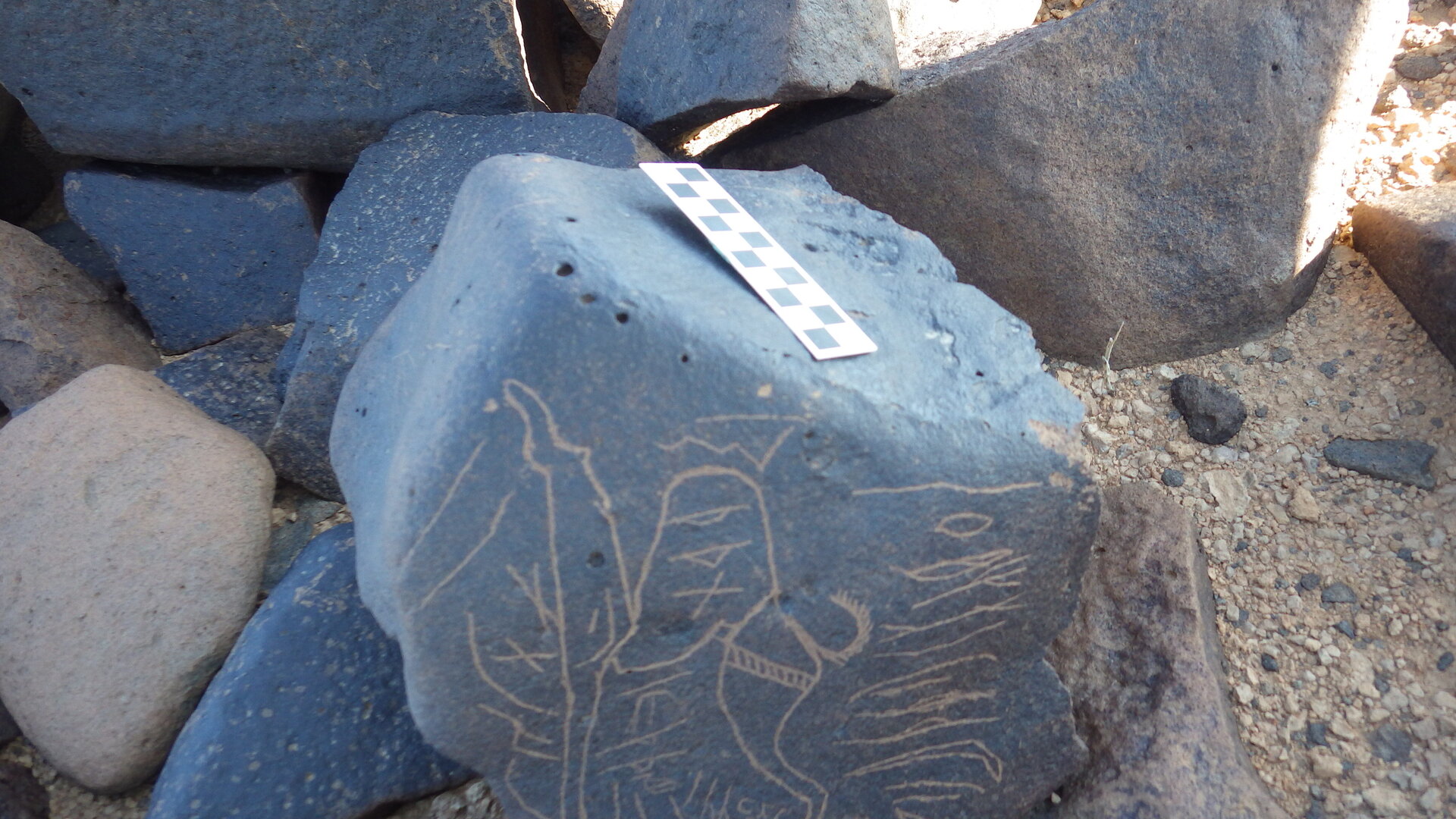 Image of siglum BES20 1282