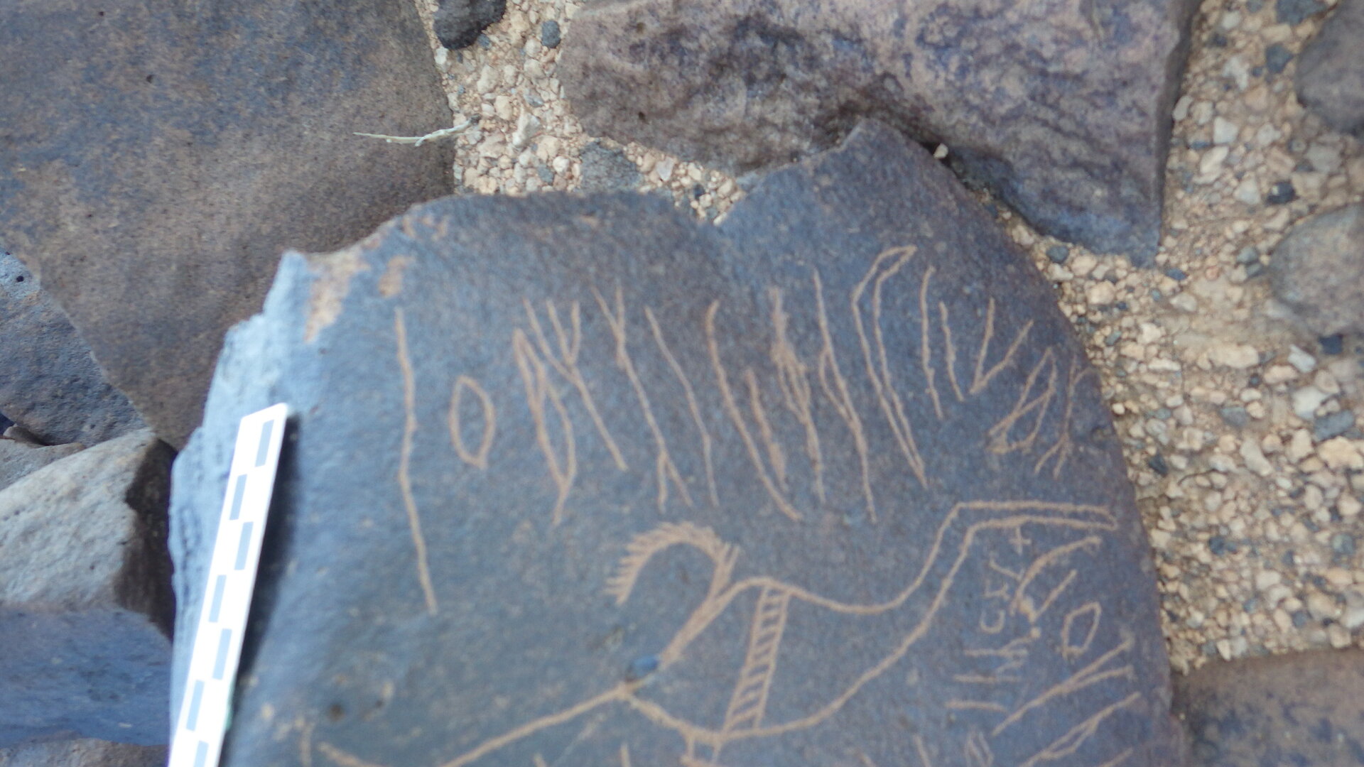 Image of siglum BES20 1282