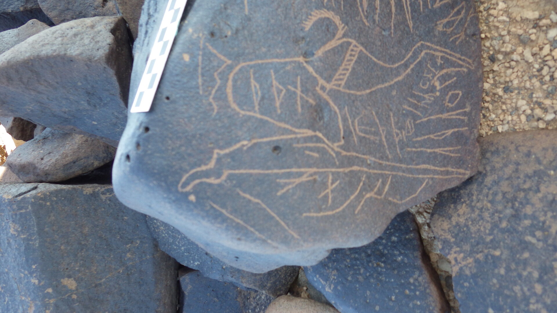Image of siglum BES20 1283