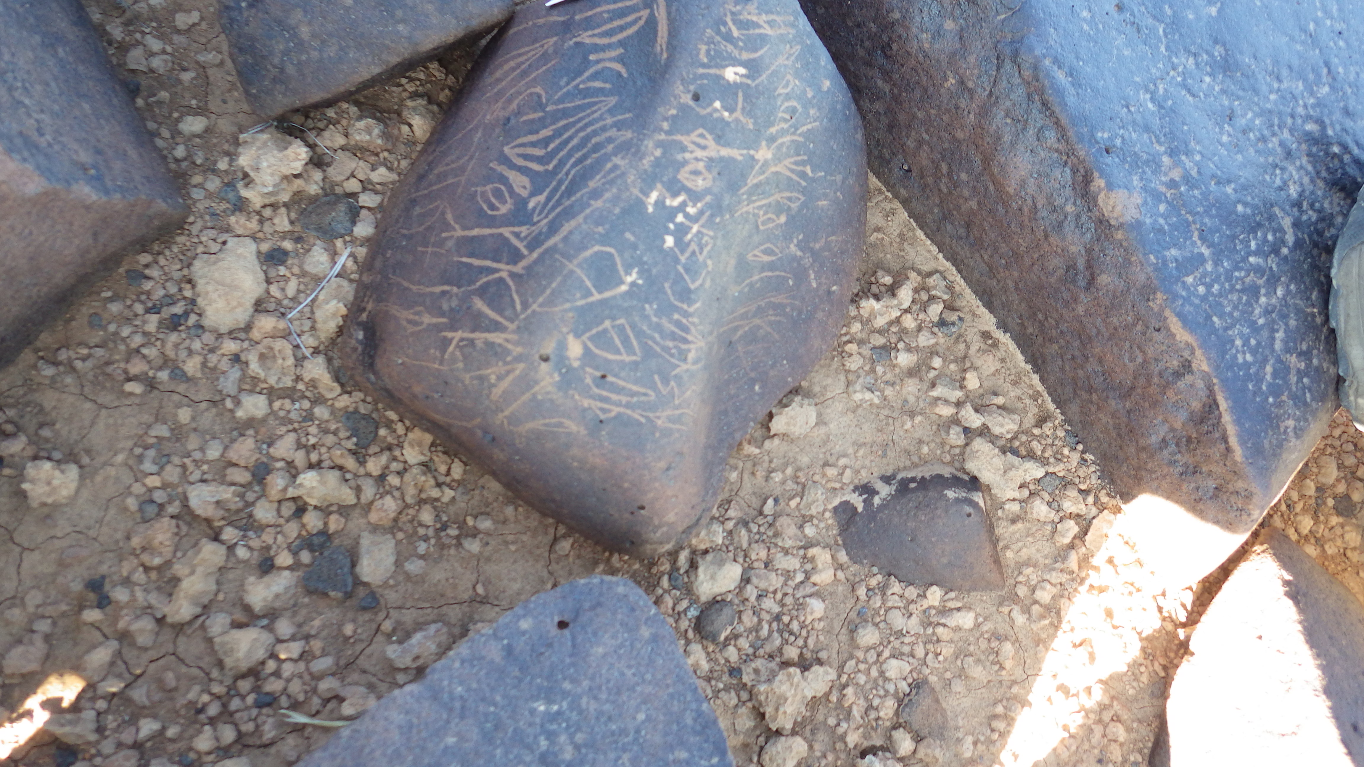 Image of siglum BES20 1290