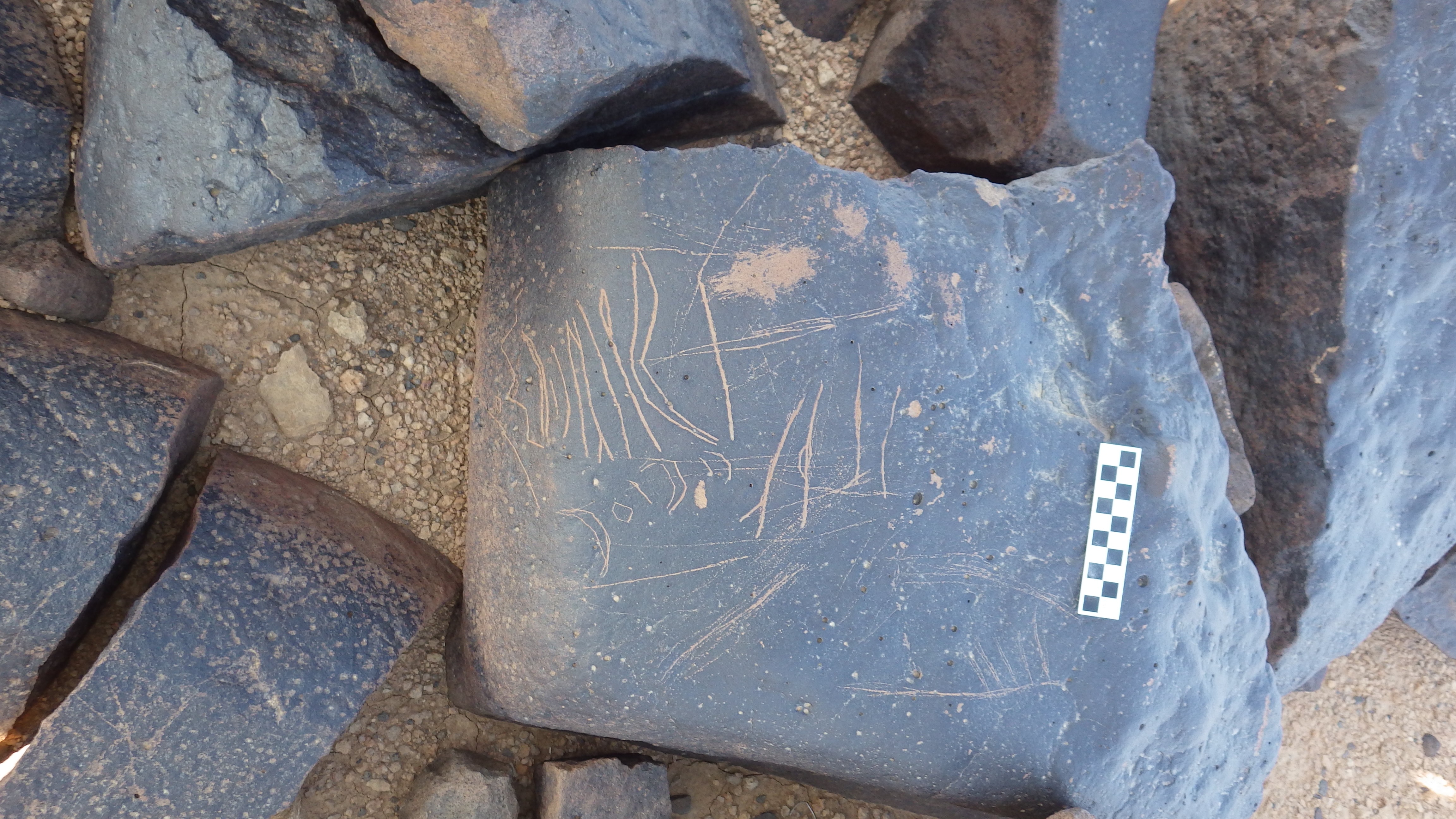 Image of siglum BES20 1292