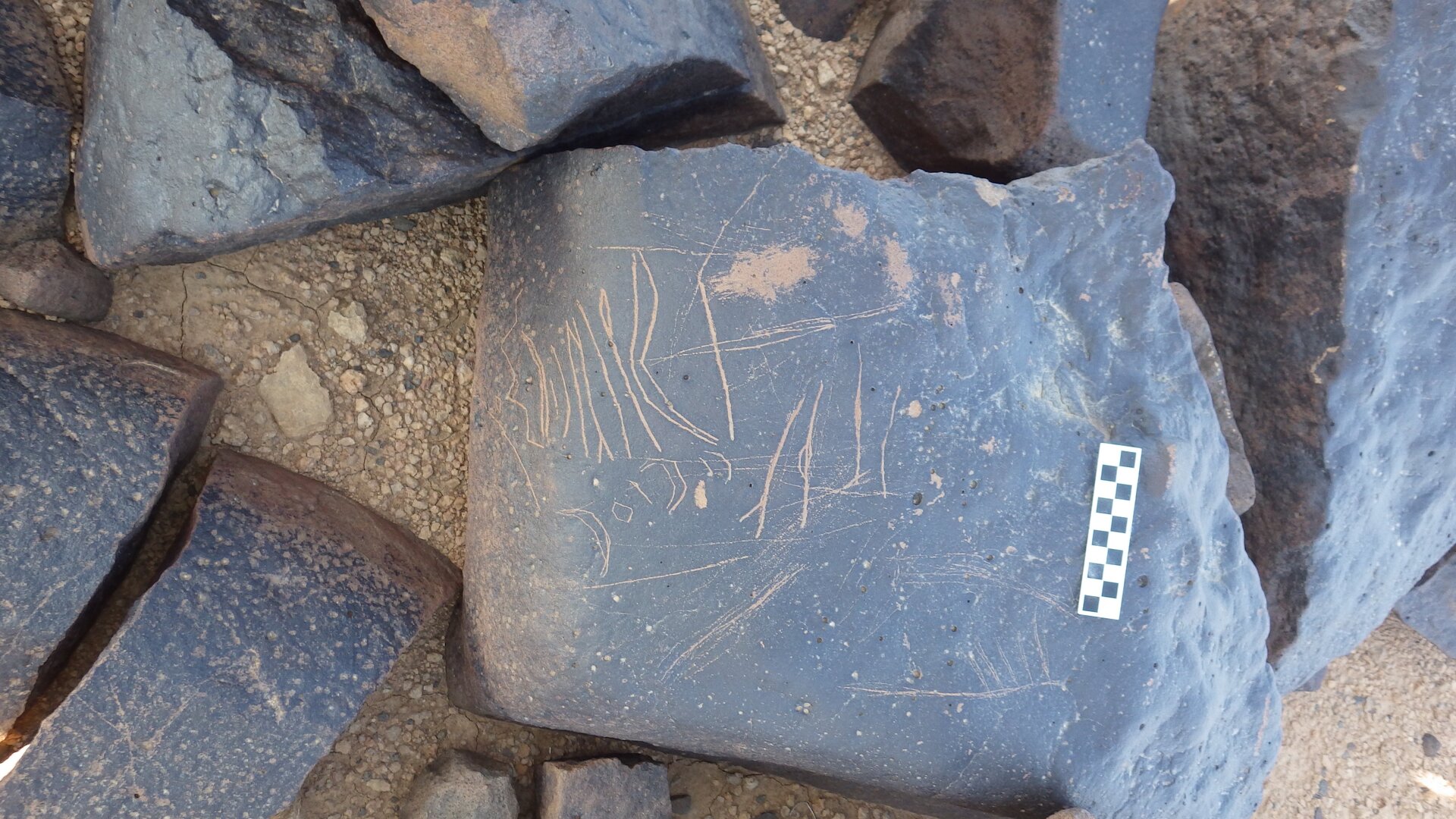 Image of siglum BES20 1292