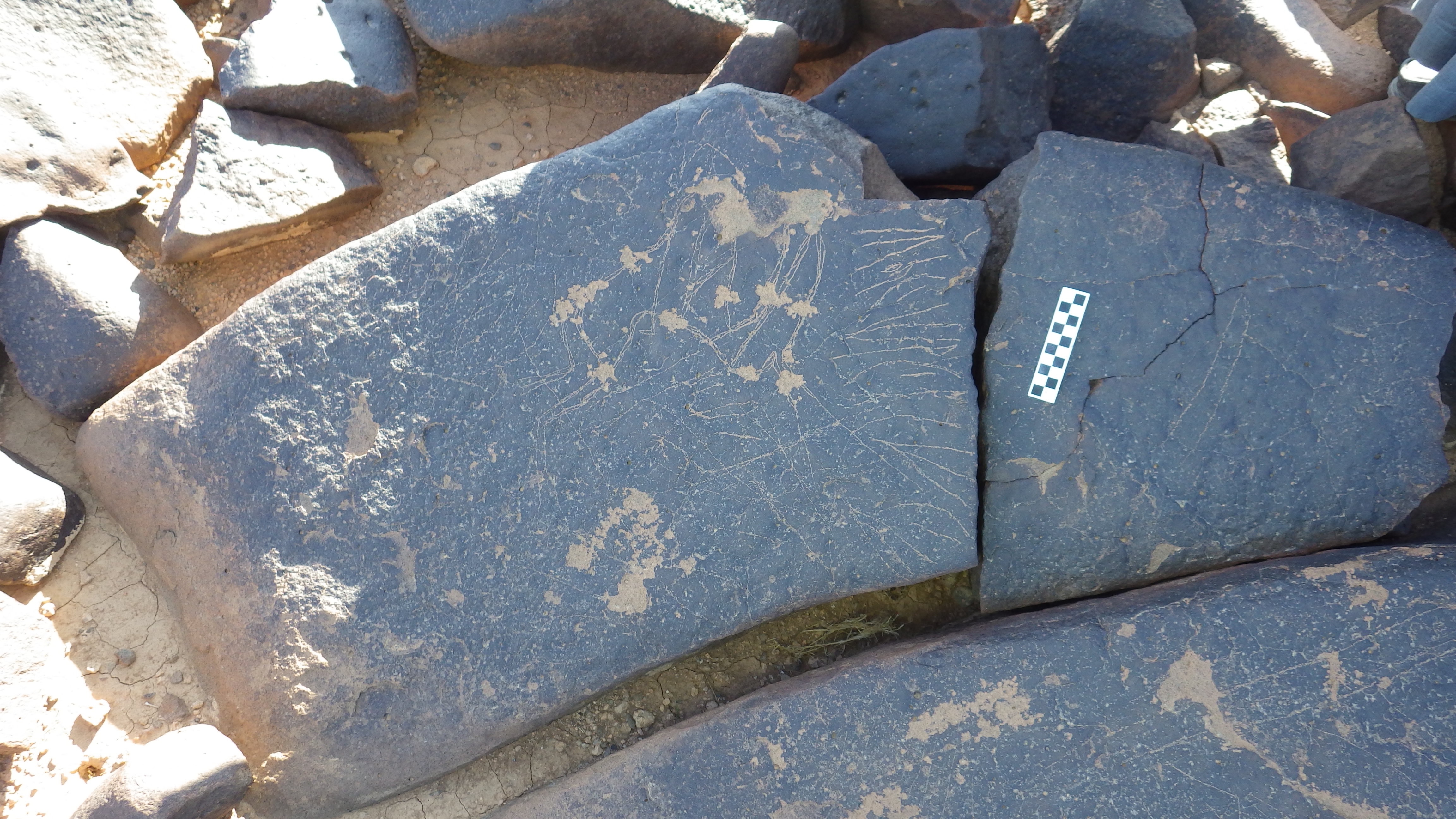 Image of siglum BES20 1293