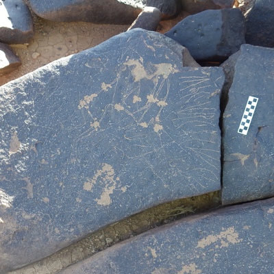 Image of siglum BES20 1293