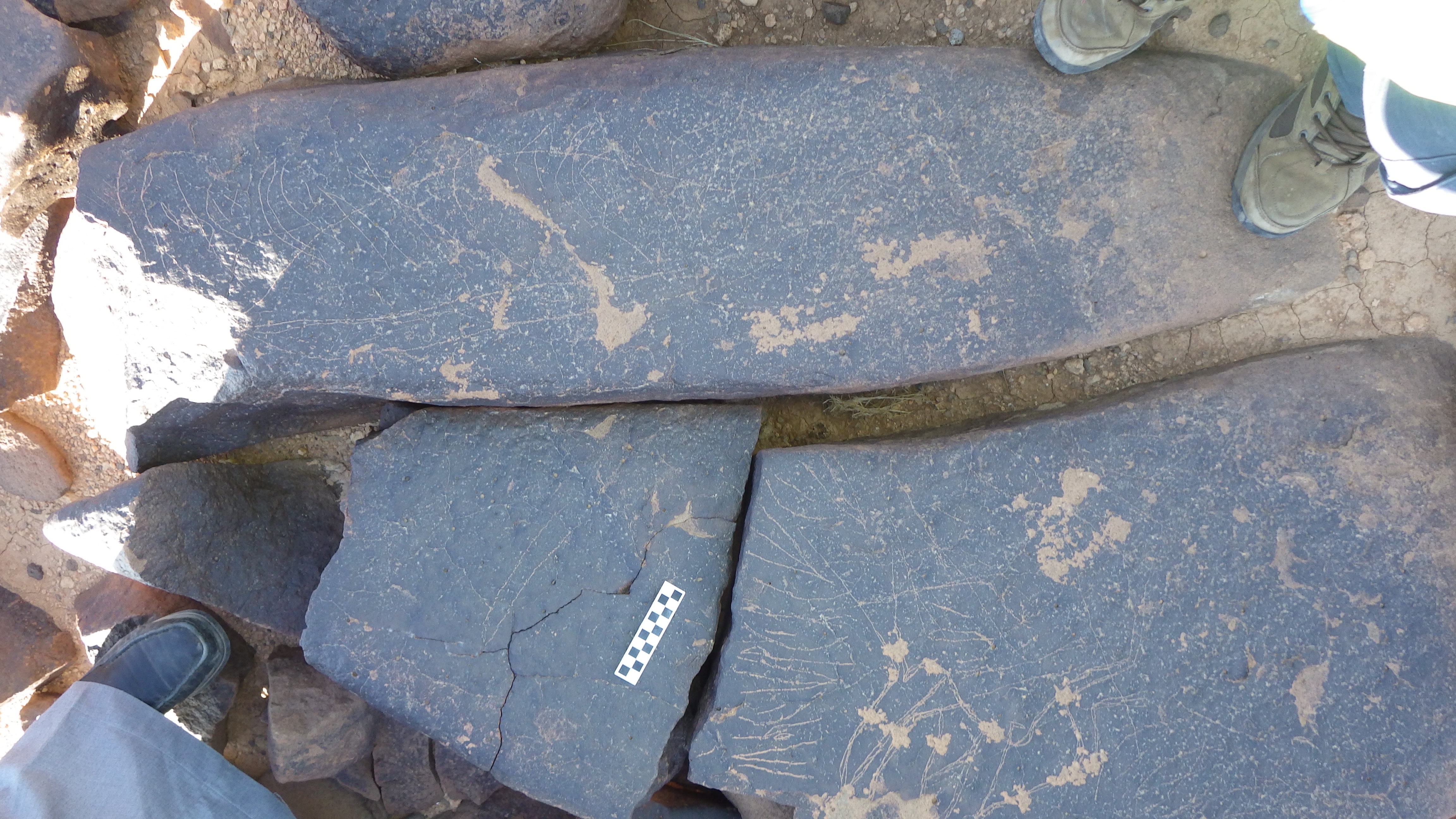 Image of siglum BES20 1294