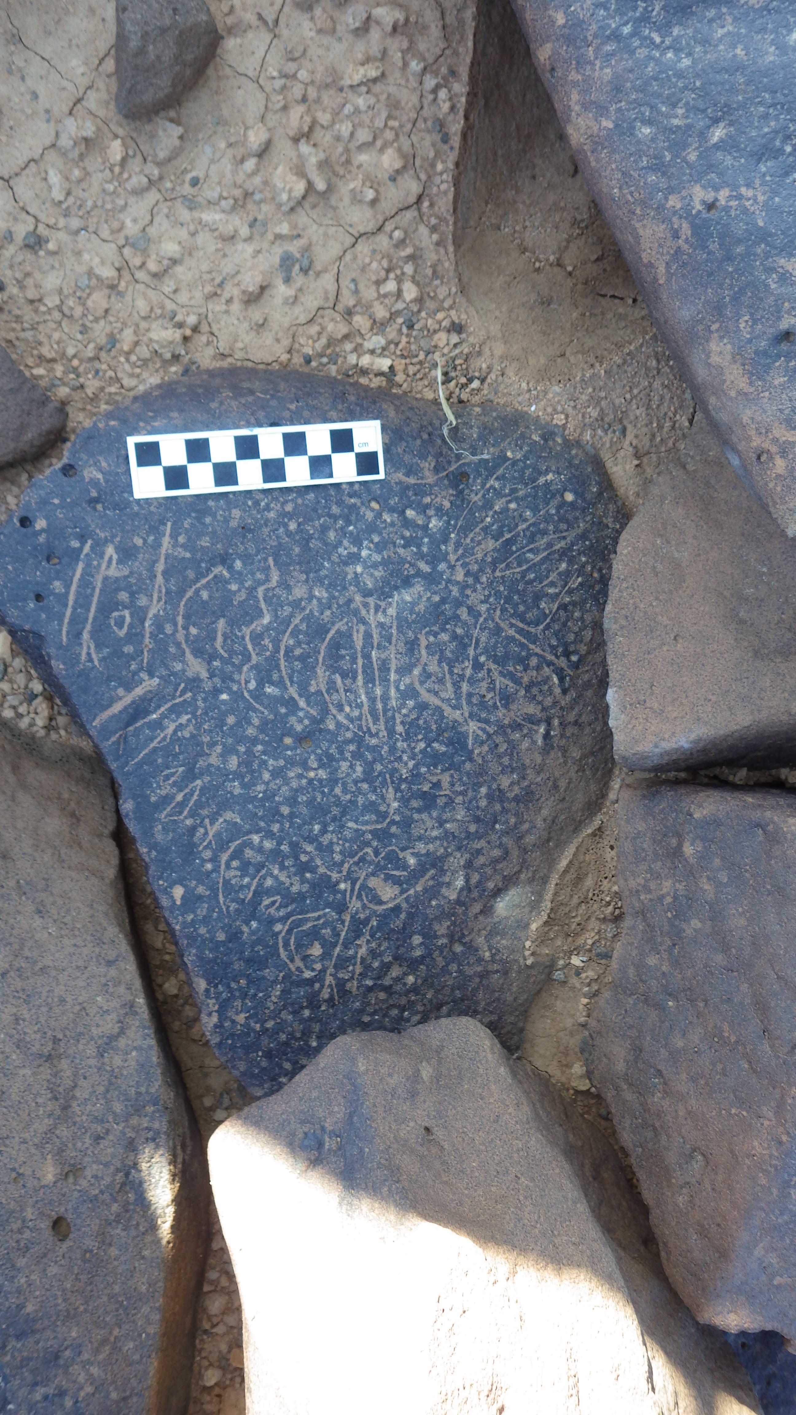 Image of siglum BES20 1296