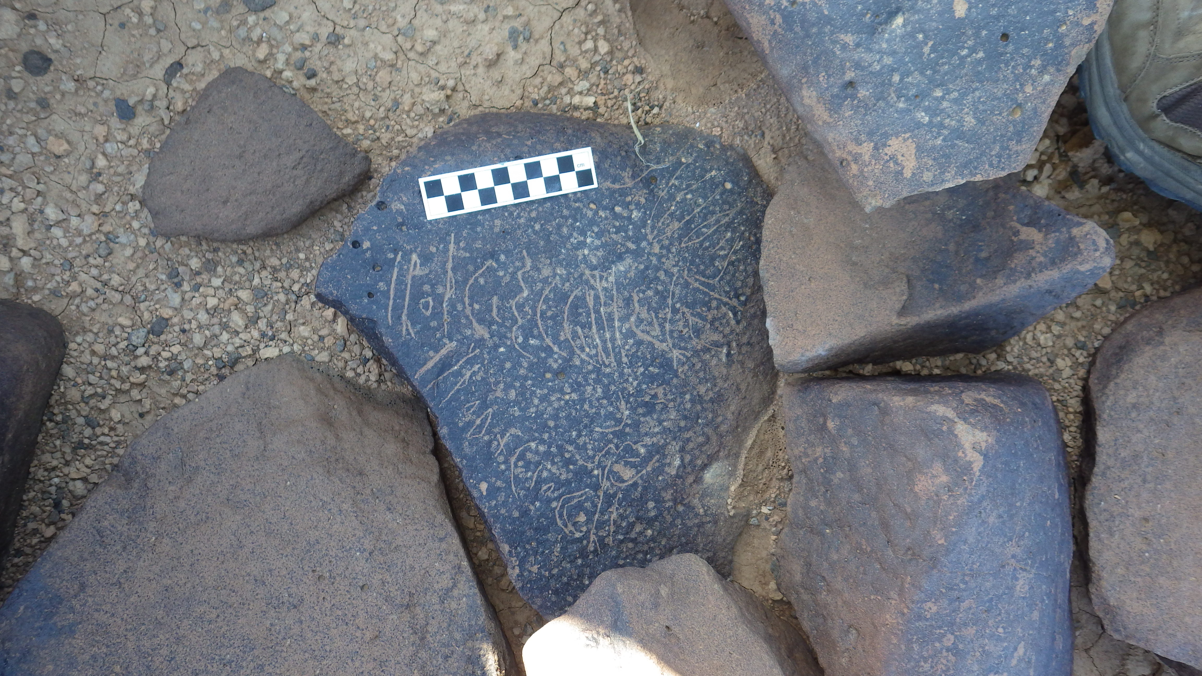 Image of siglum BES20 1296