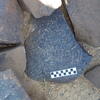 Image of siglum BES20 1296