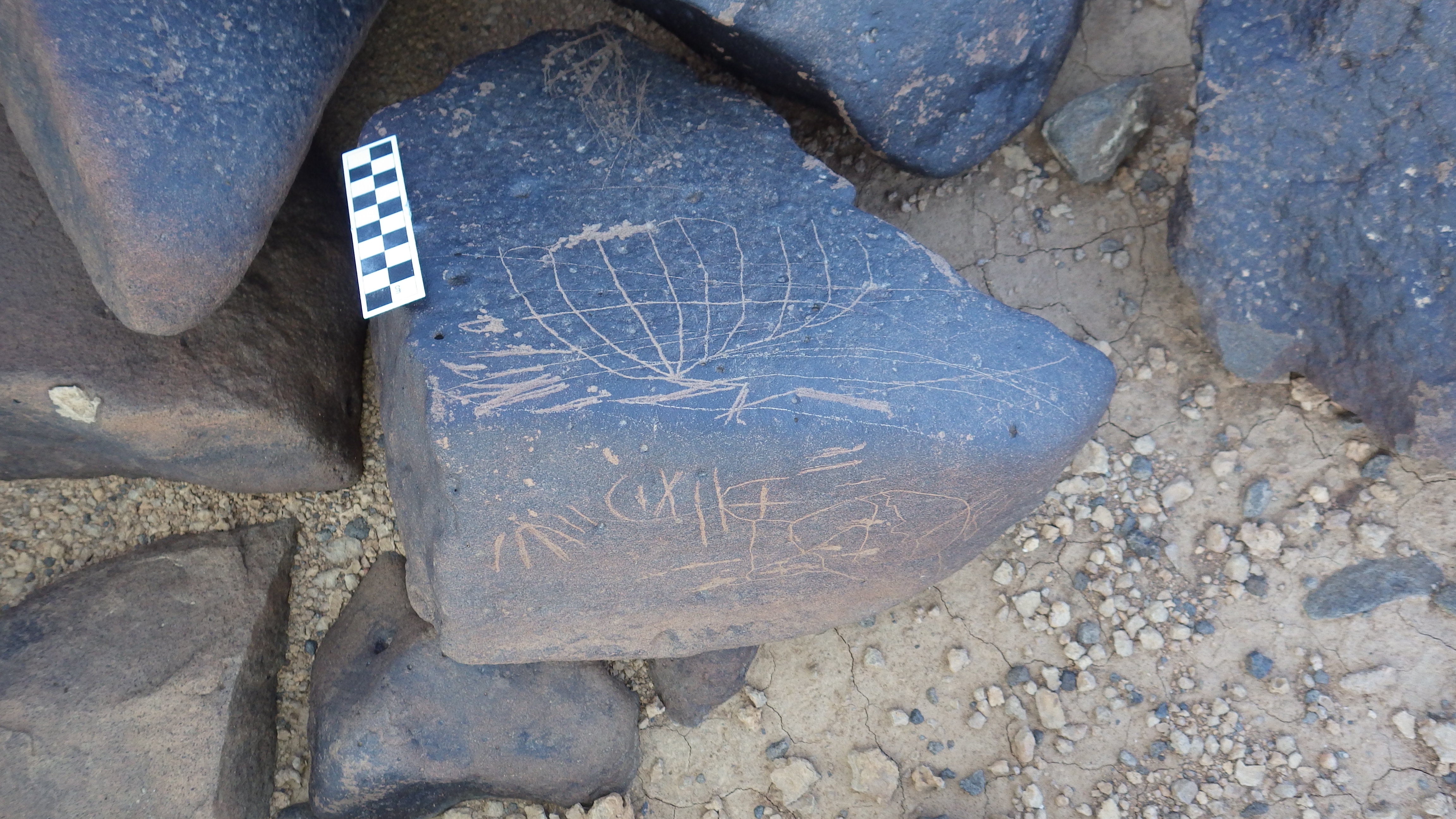 Image of siglum BES20 1297