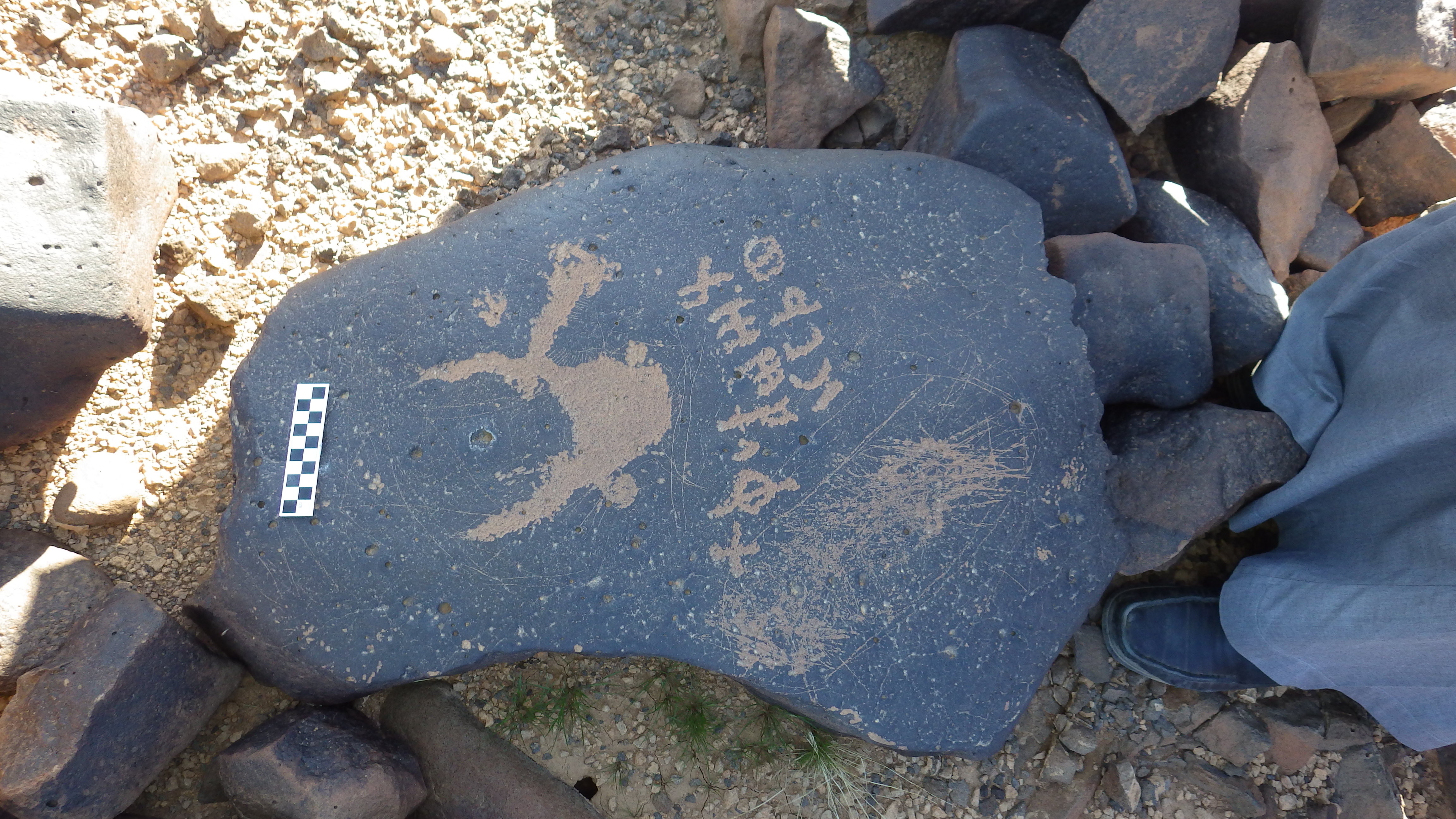 Image of siglum BES20 1300