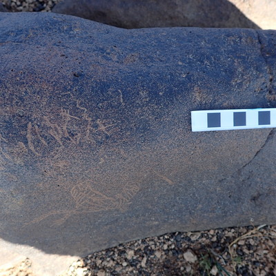 Image of siglum BES20 1301