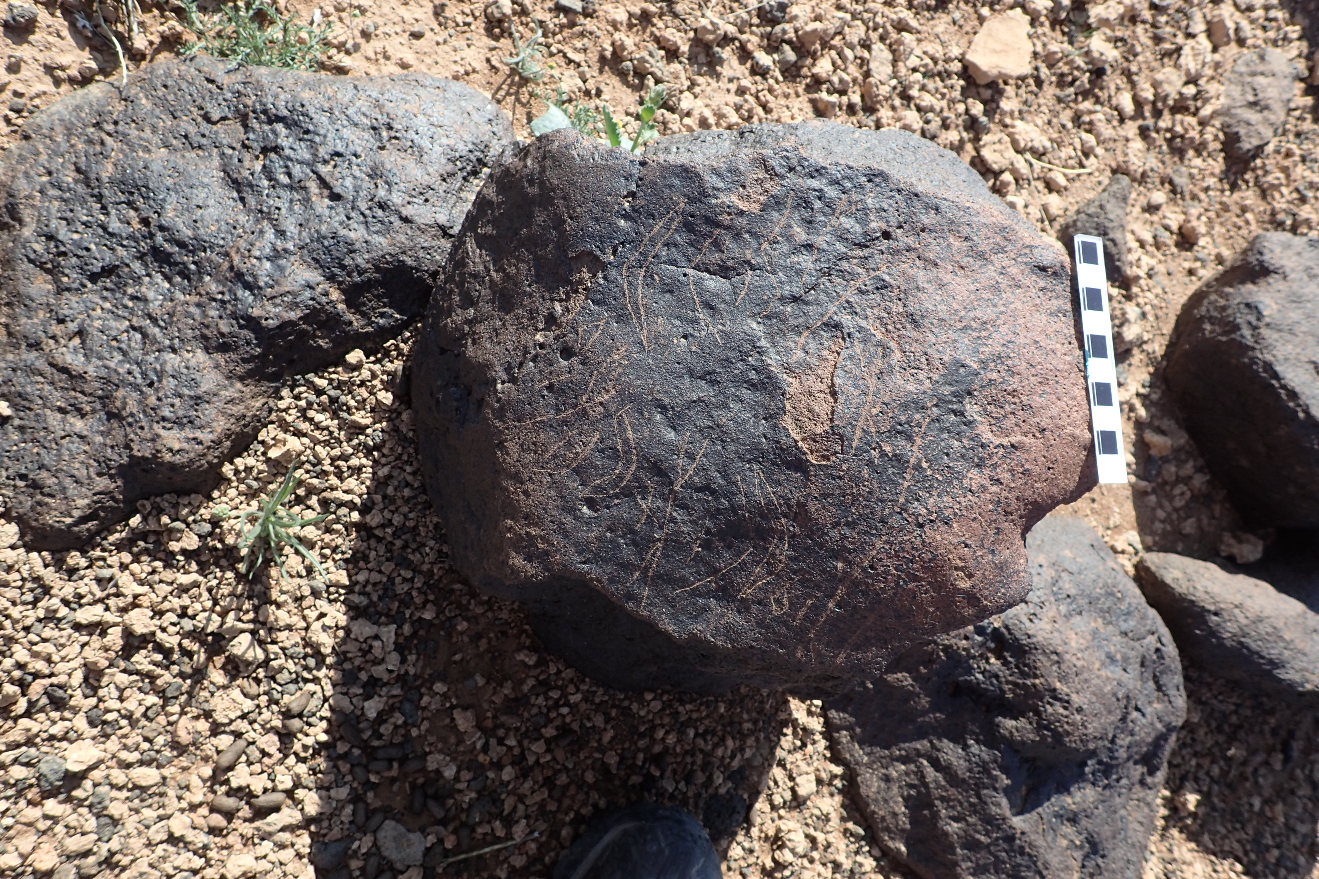 Image of siglum BES20 1302