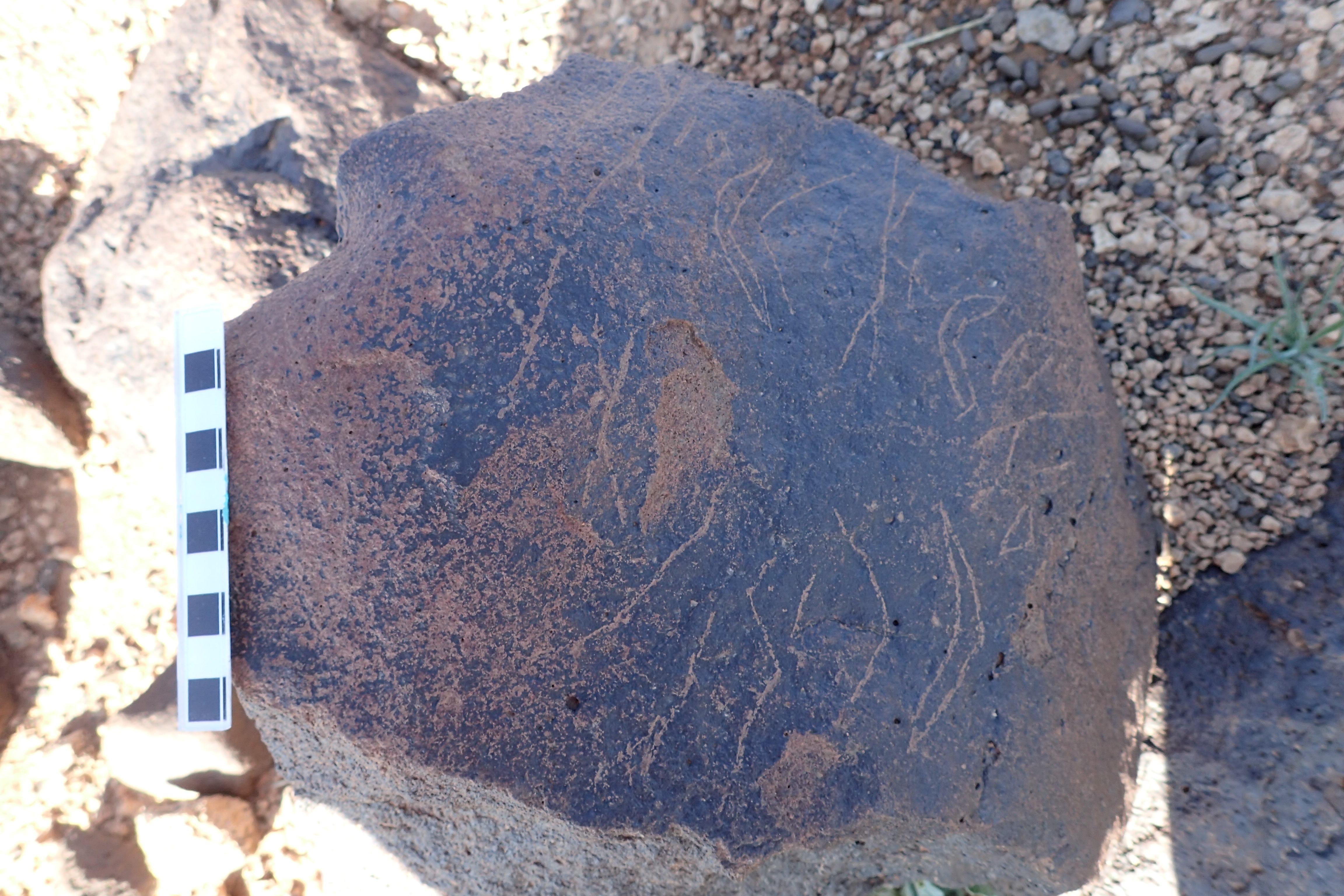 Image of siglum BES20 1302