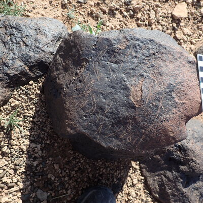 Image of siglum BES20 1302