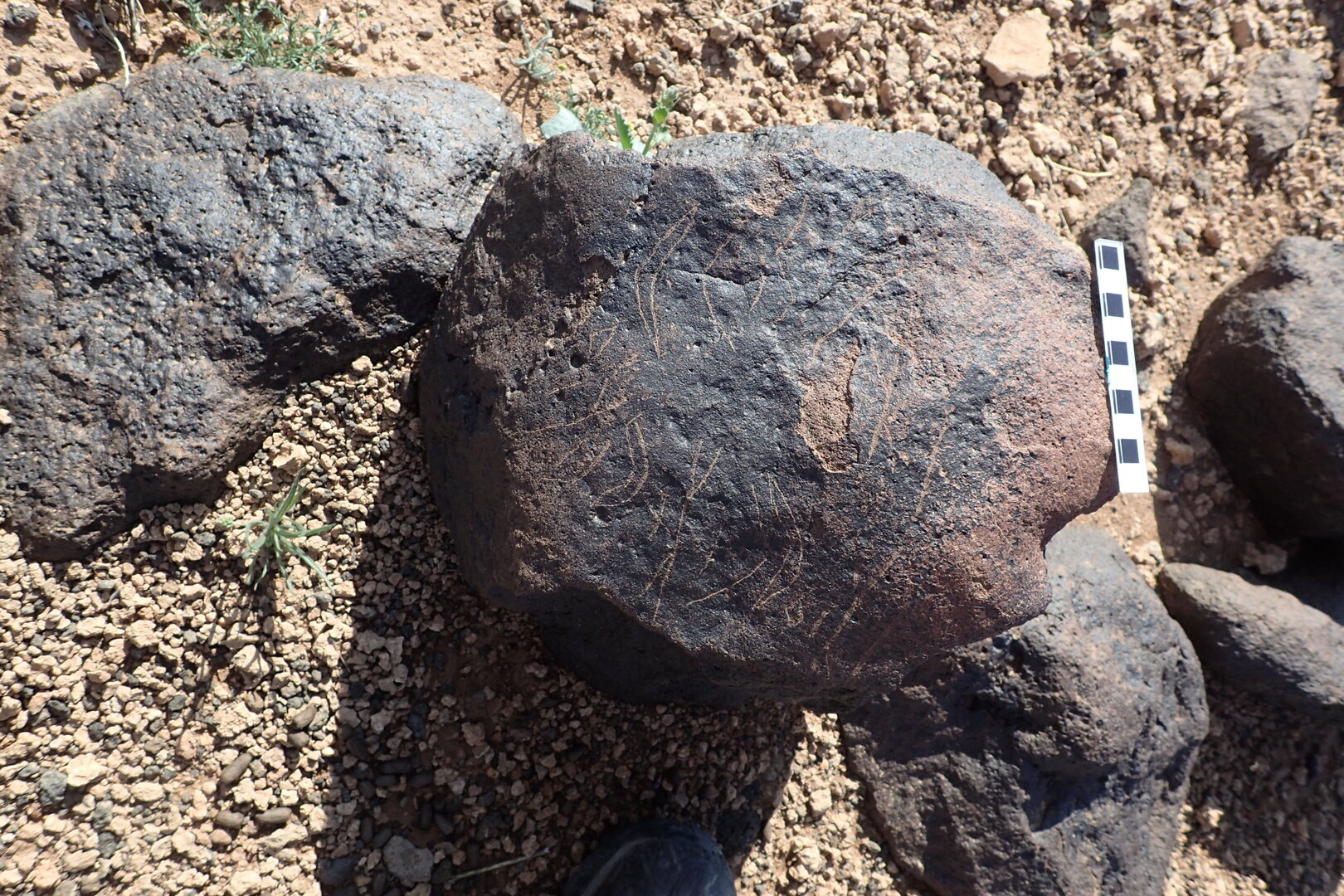 Image of siglum BES20 1302