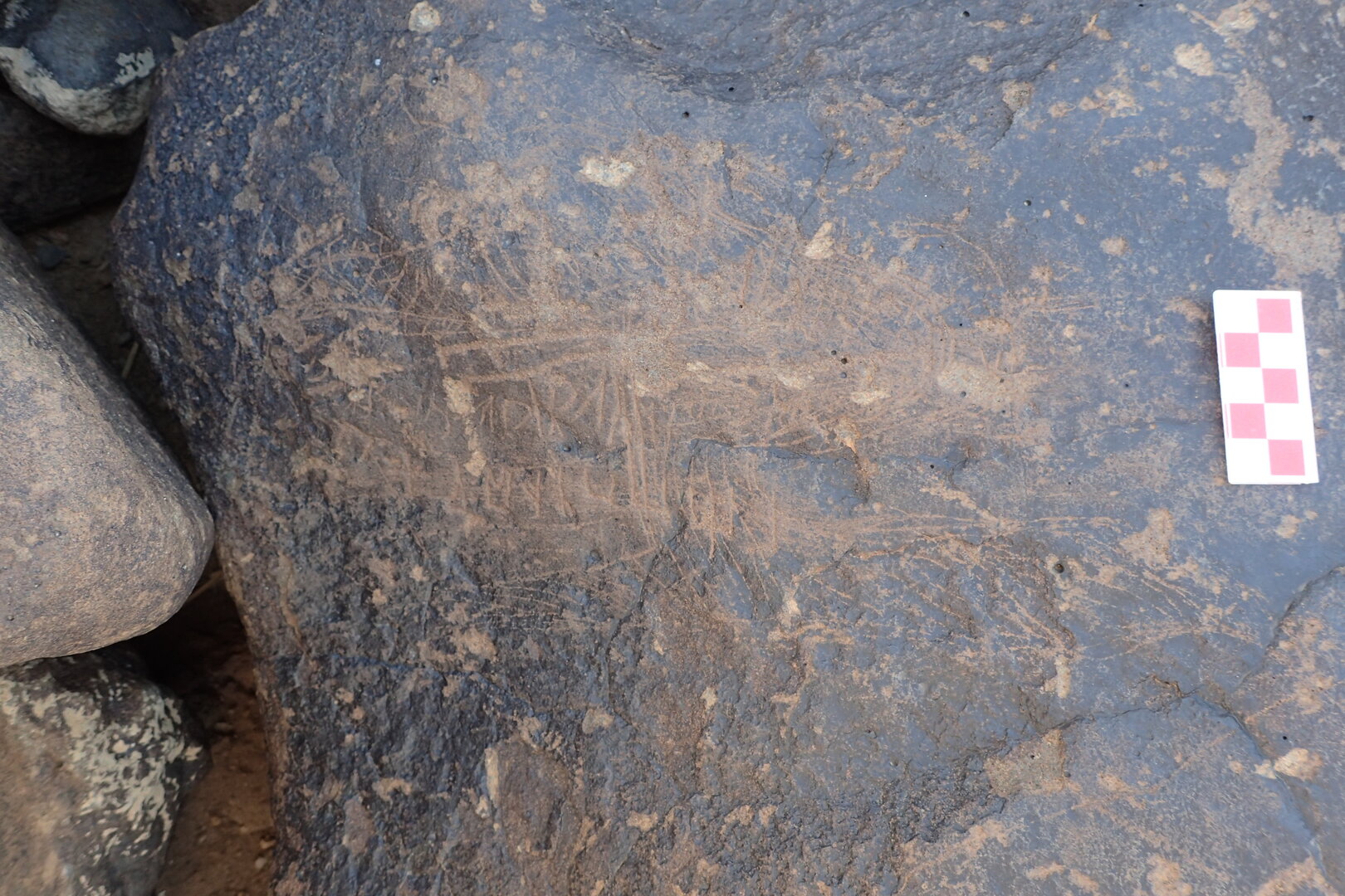 Image of siglum BES20 1303