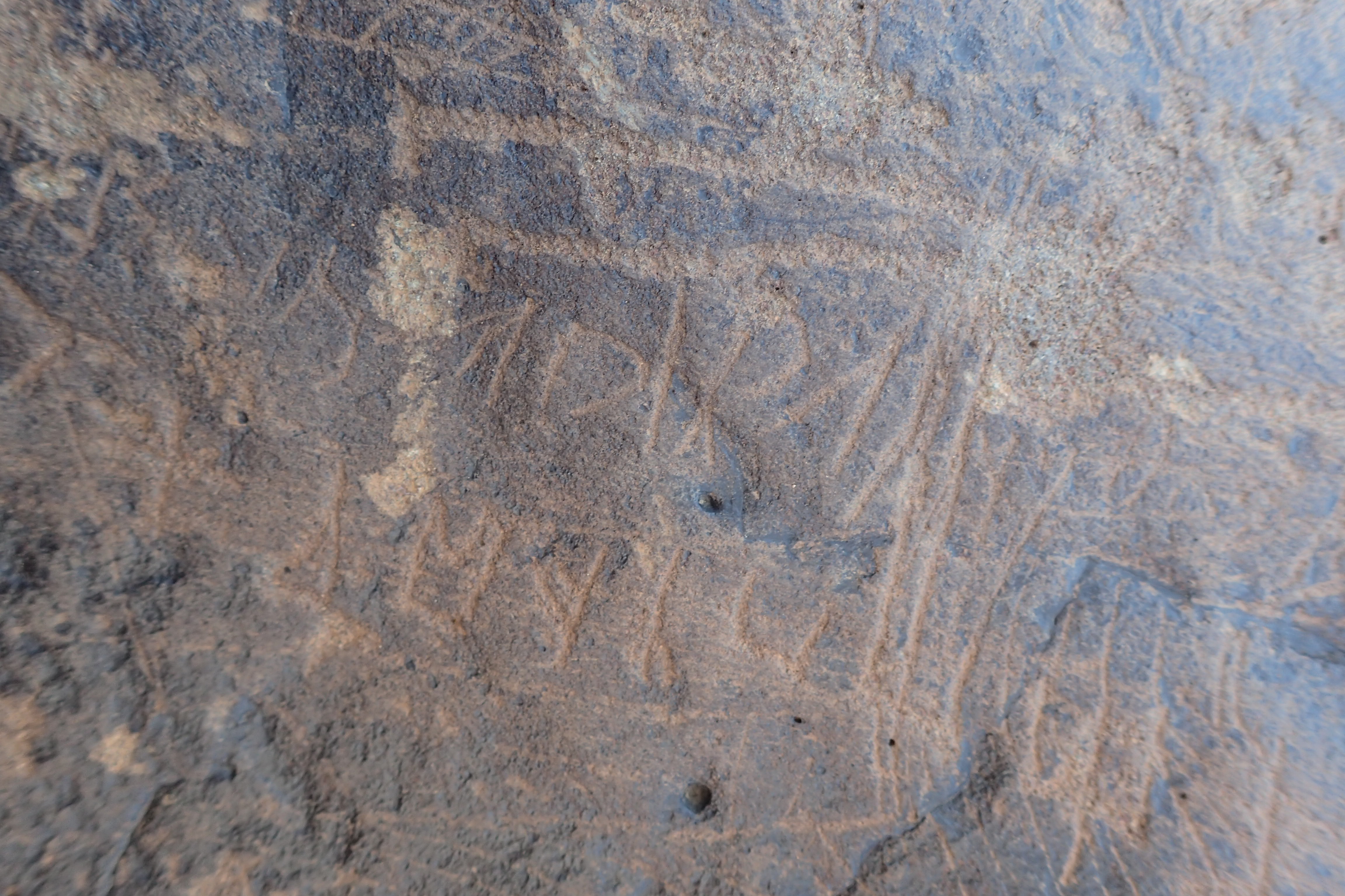 Image of siglum BES20 1304
