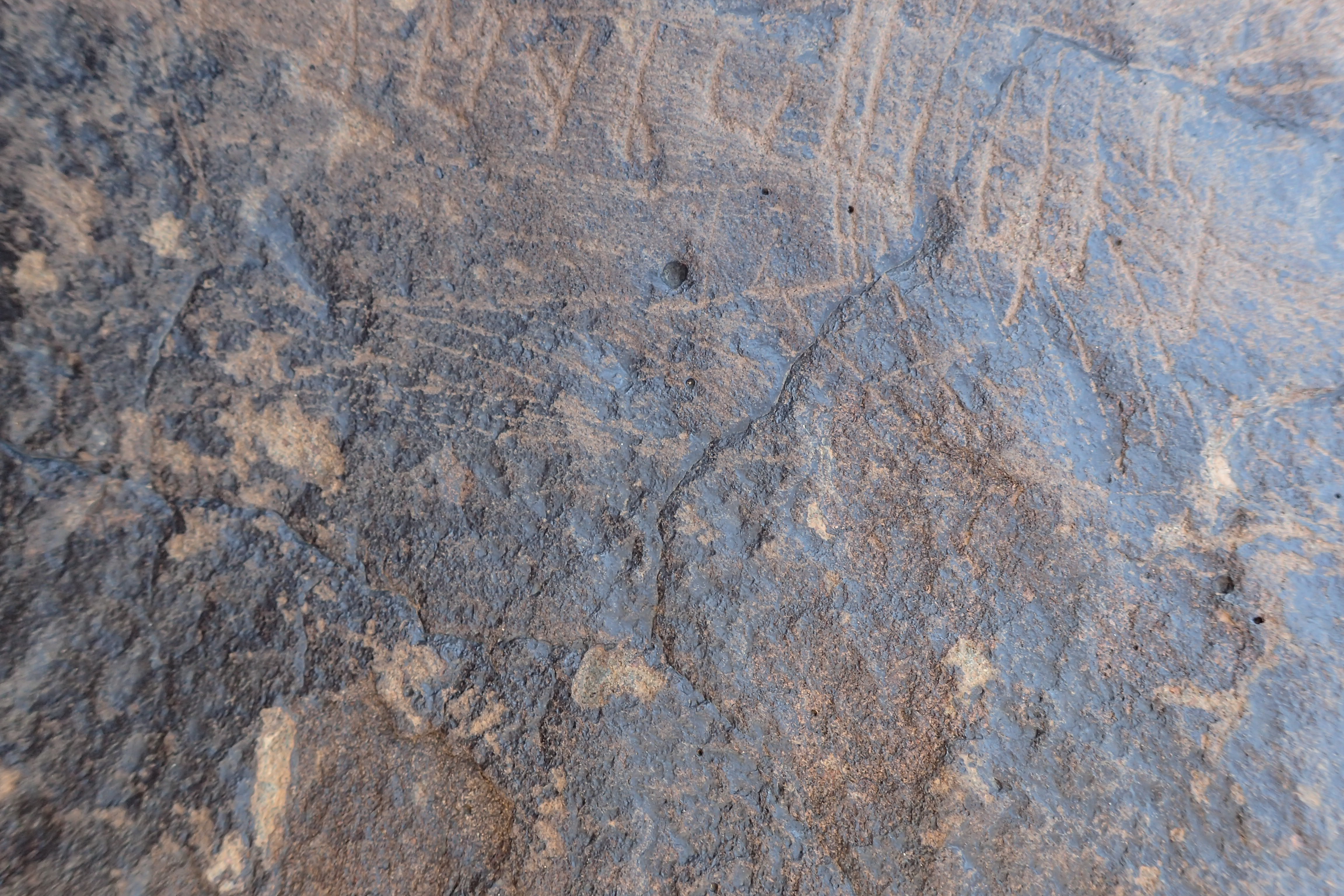 Image of siglum BES20 1304