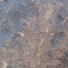 Image of siglum BES20 1304