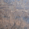 Image of siglum BES20 1304