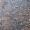 Image of siglum BES20 1304