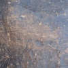 Image of siglum BES20 1304