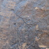 Image of siglum BES20 1304