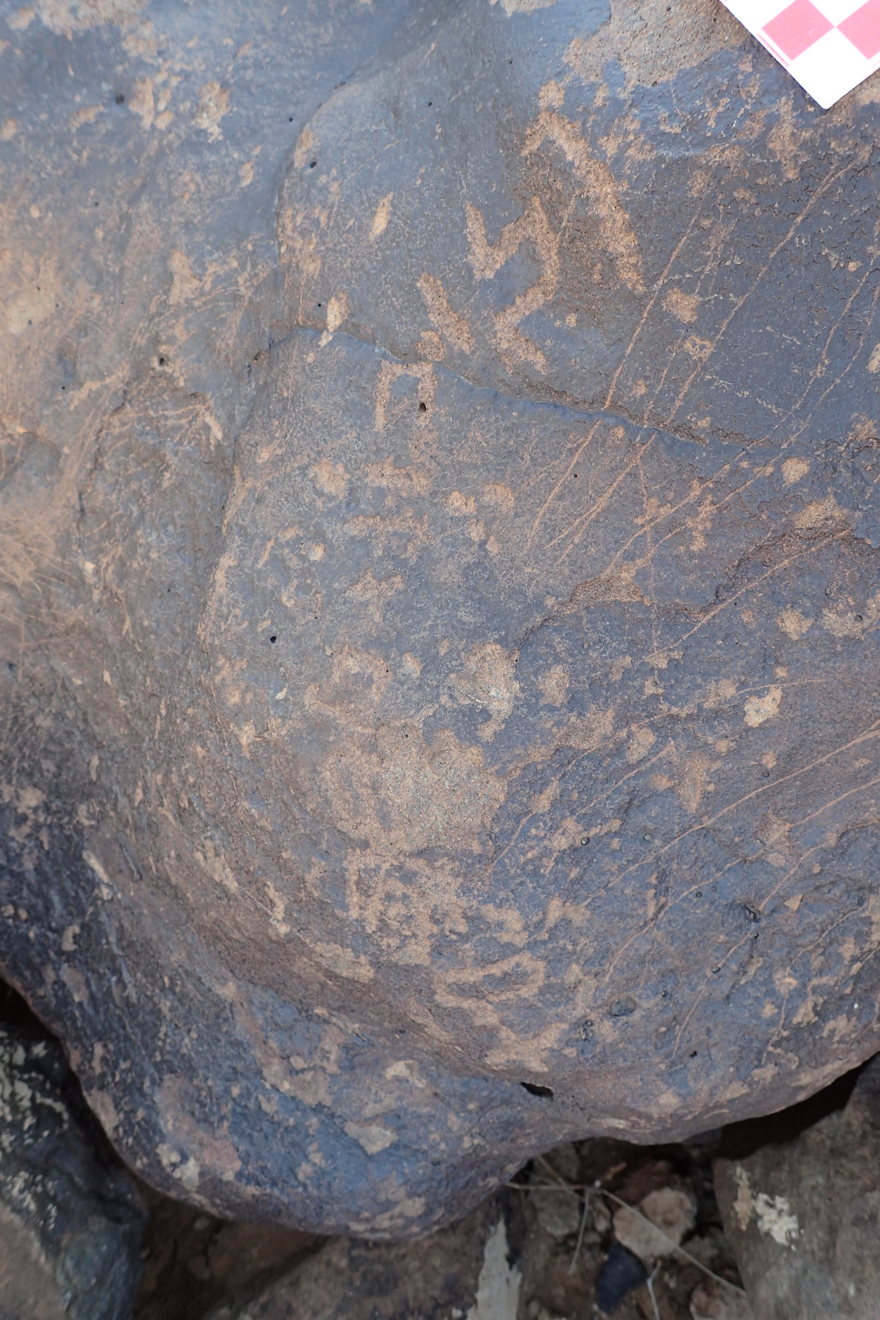 Image of siglum BES20 1305