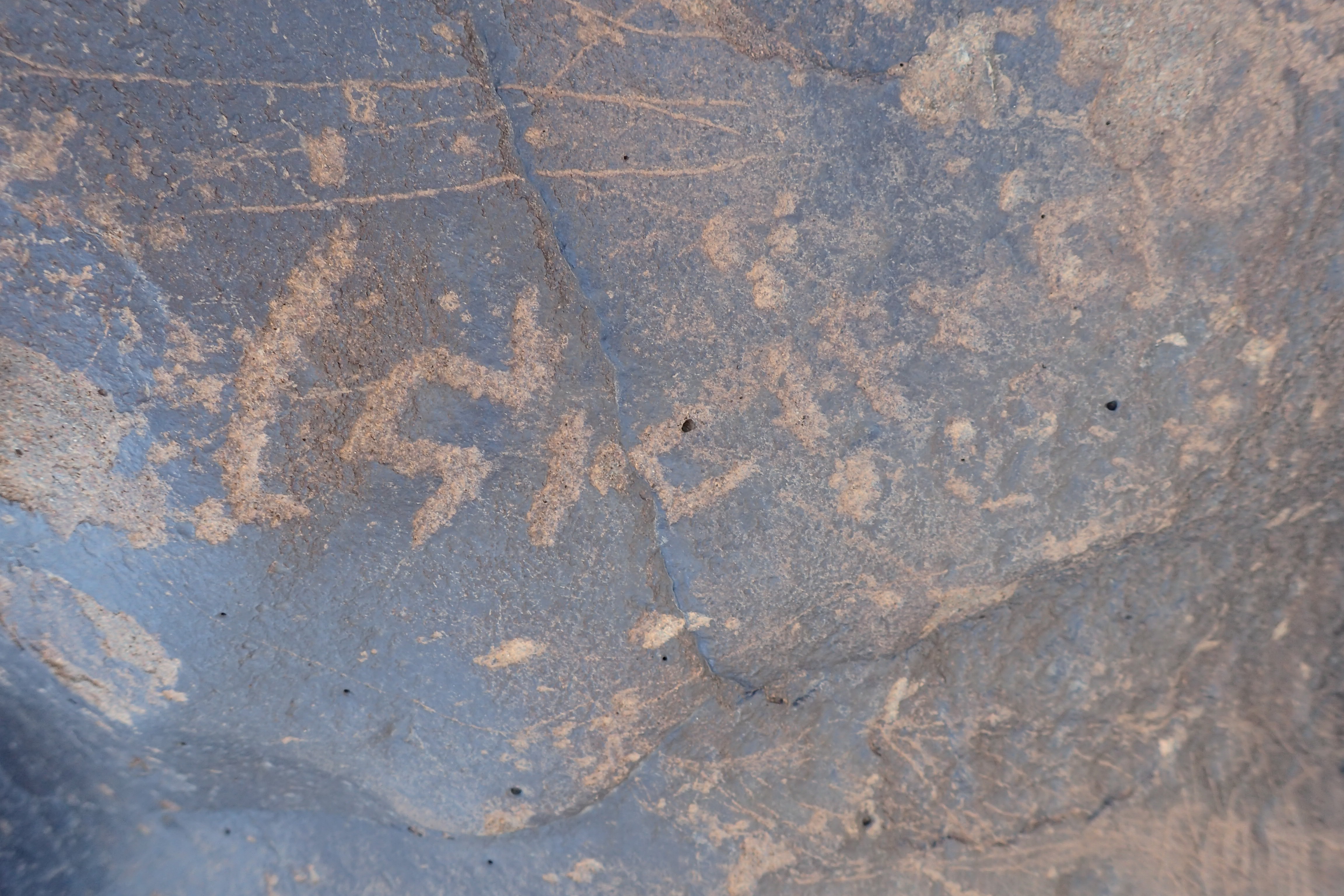 Image of siglum BES20 1305