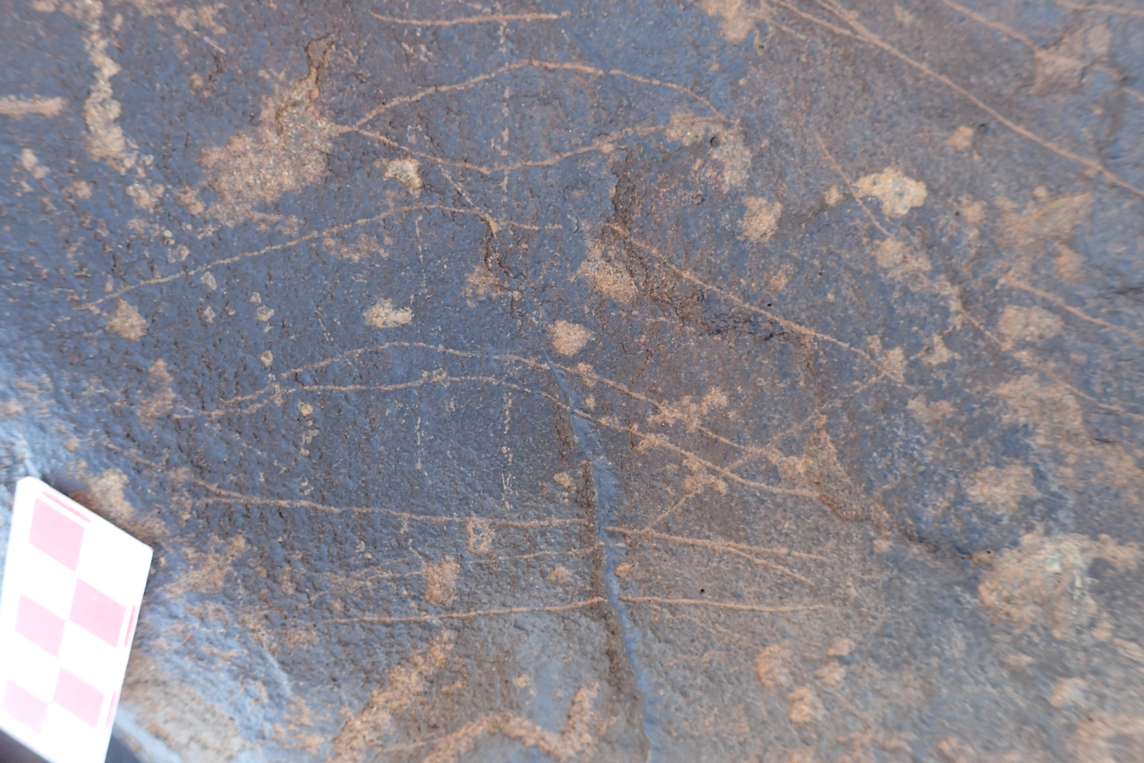 Image of siglum BES20 1306