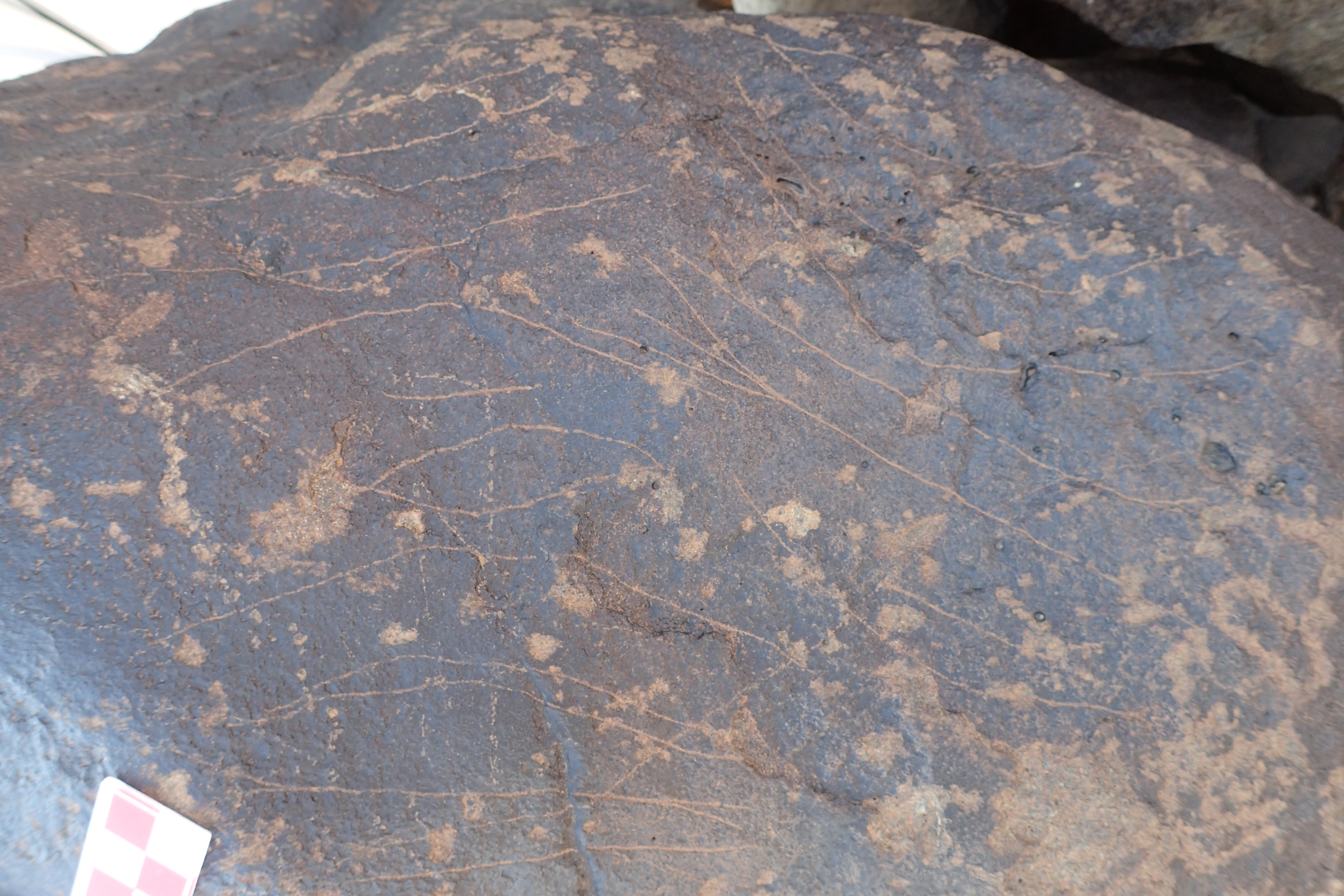 Image of siglum BES20 1306