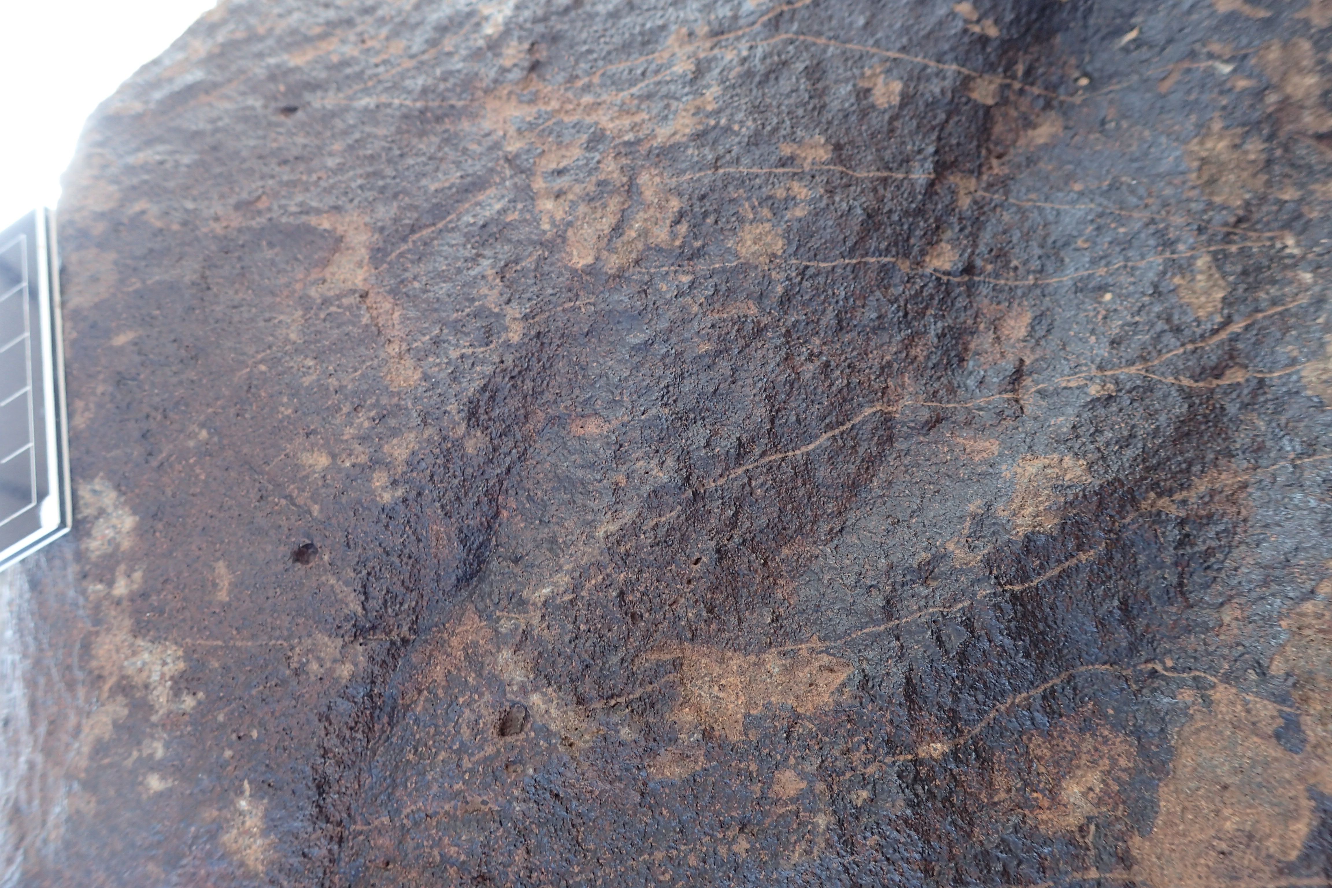 Image of siglum BES20 1306
