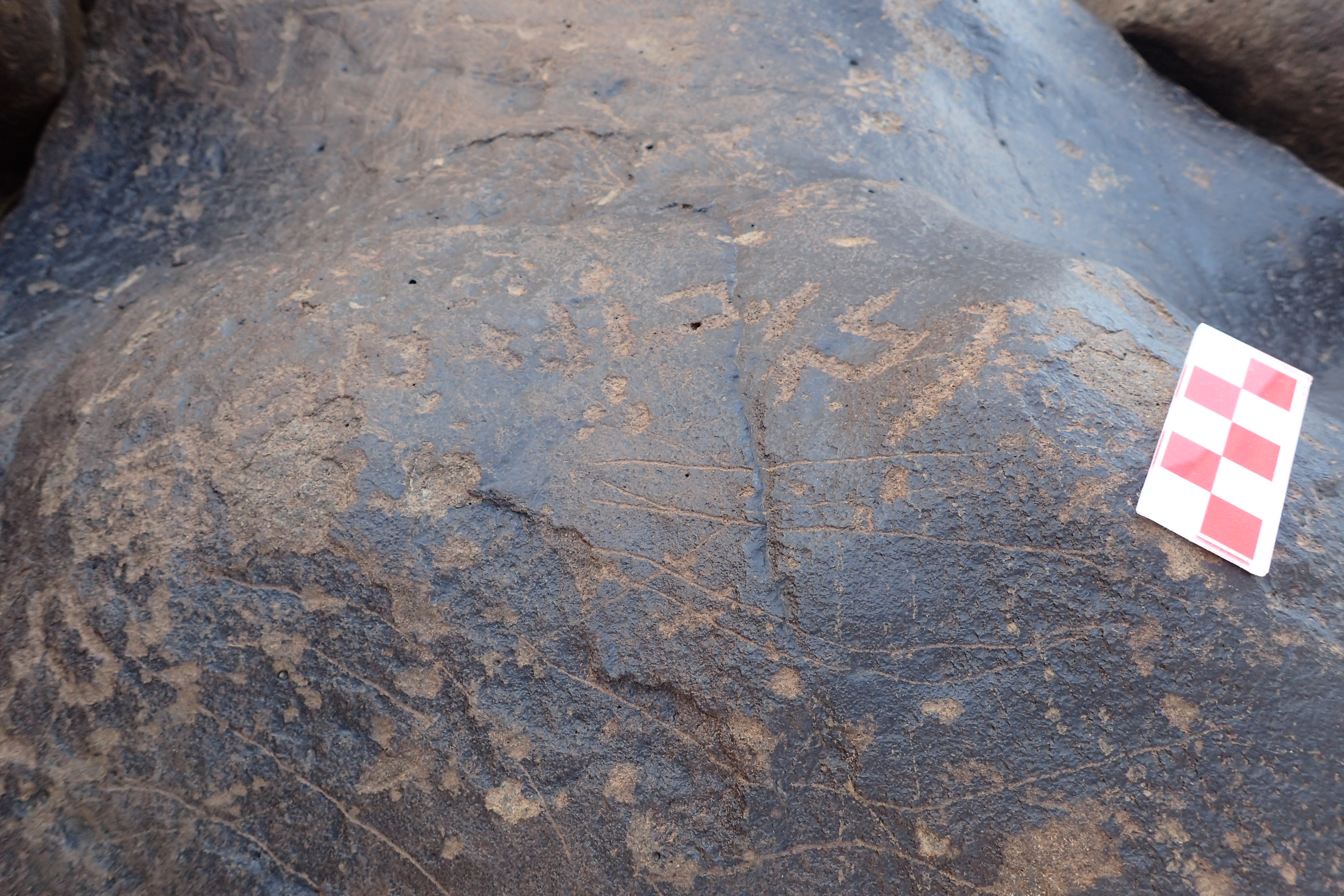 Image of siglum BES20 1306