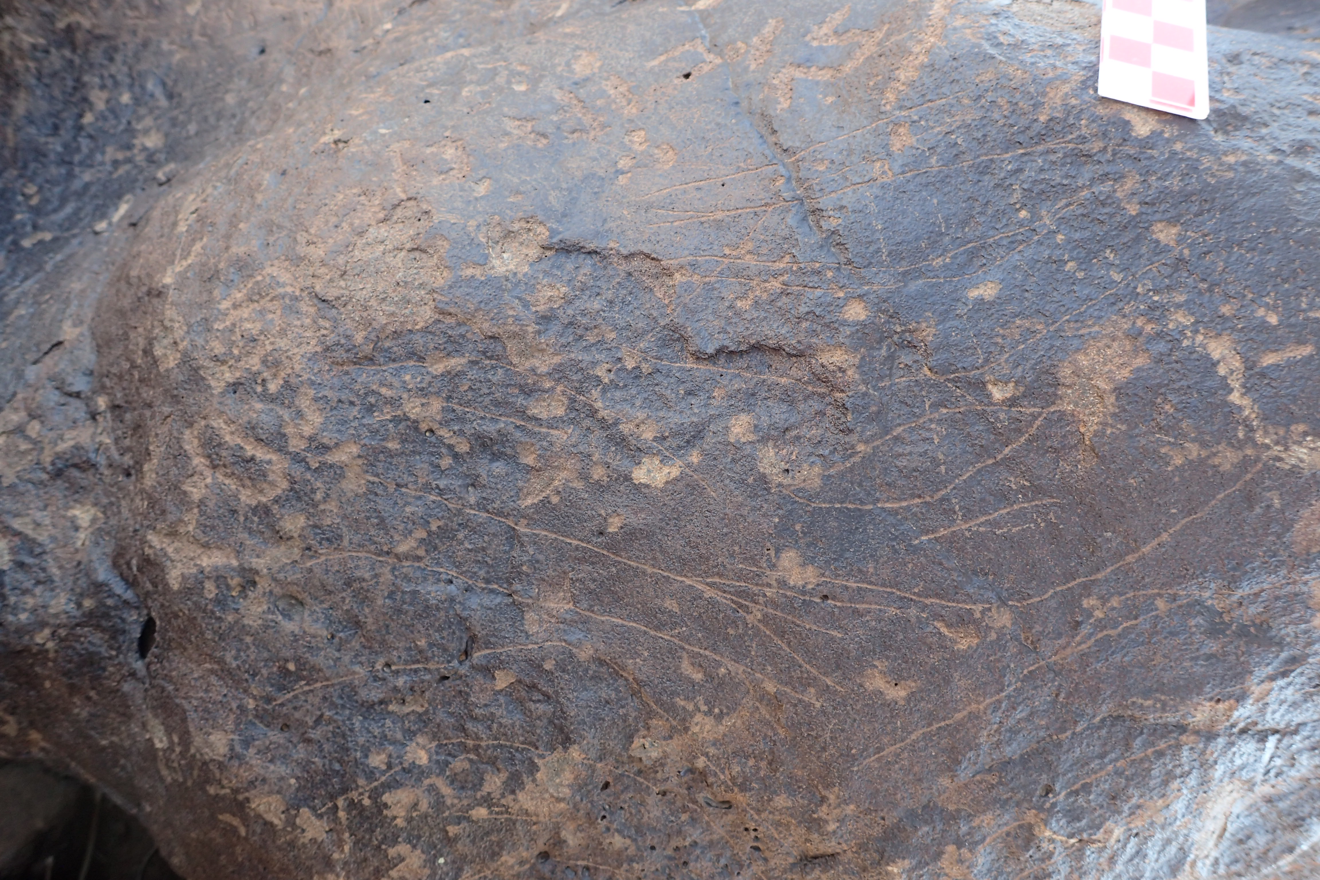 Image of siglum BES20 1306