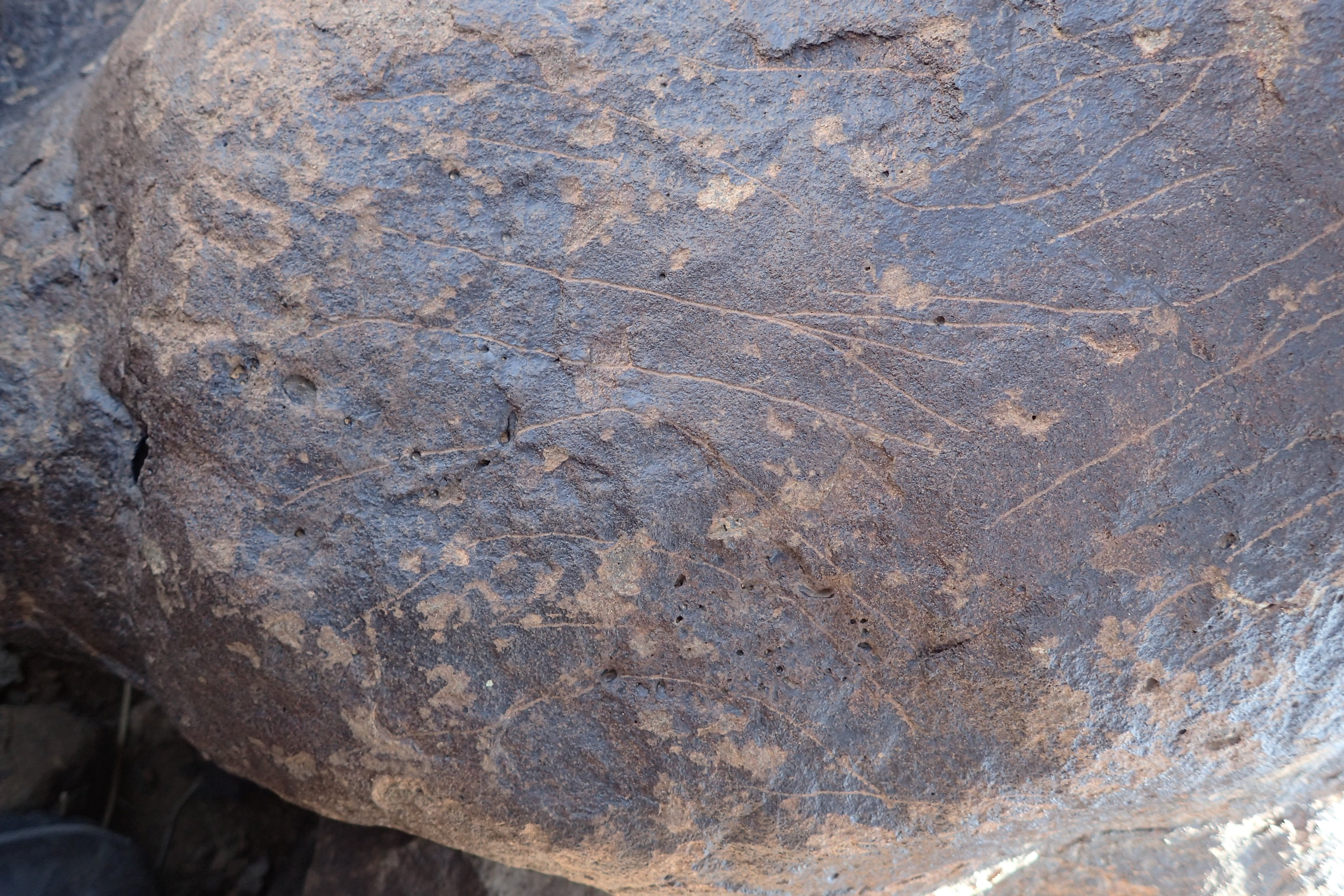 Image of siglum BES20 1306
