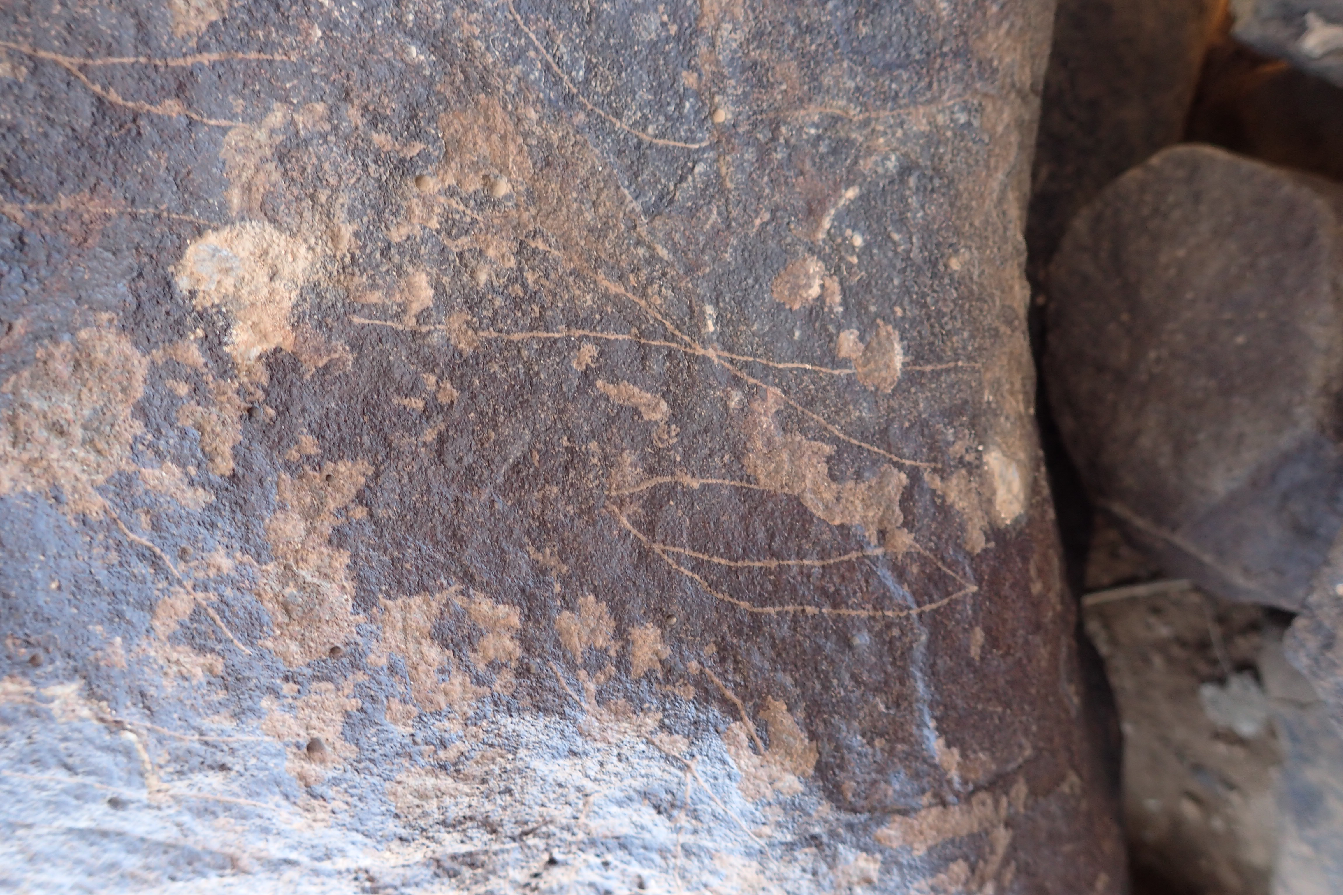 Image of siglum BES20 1306