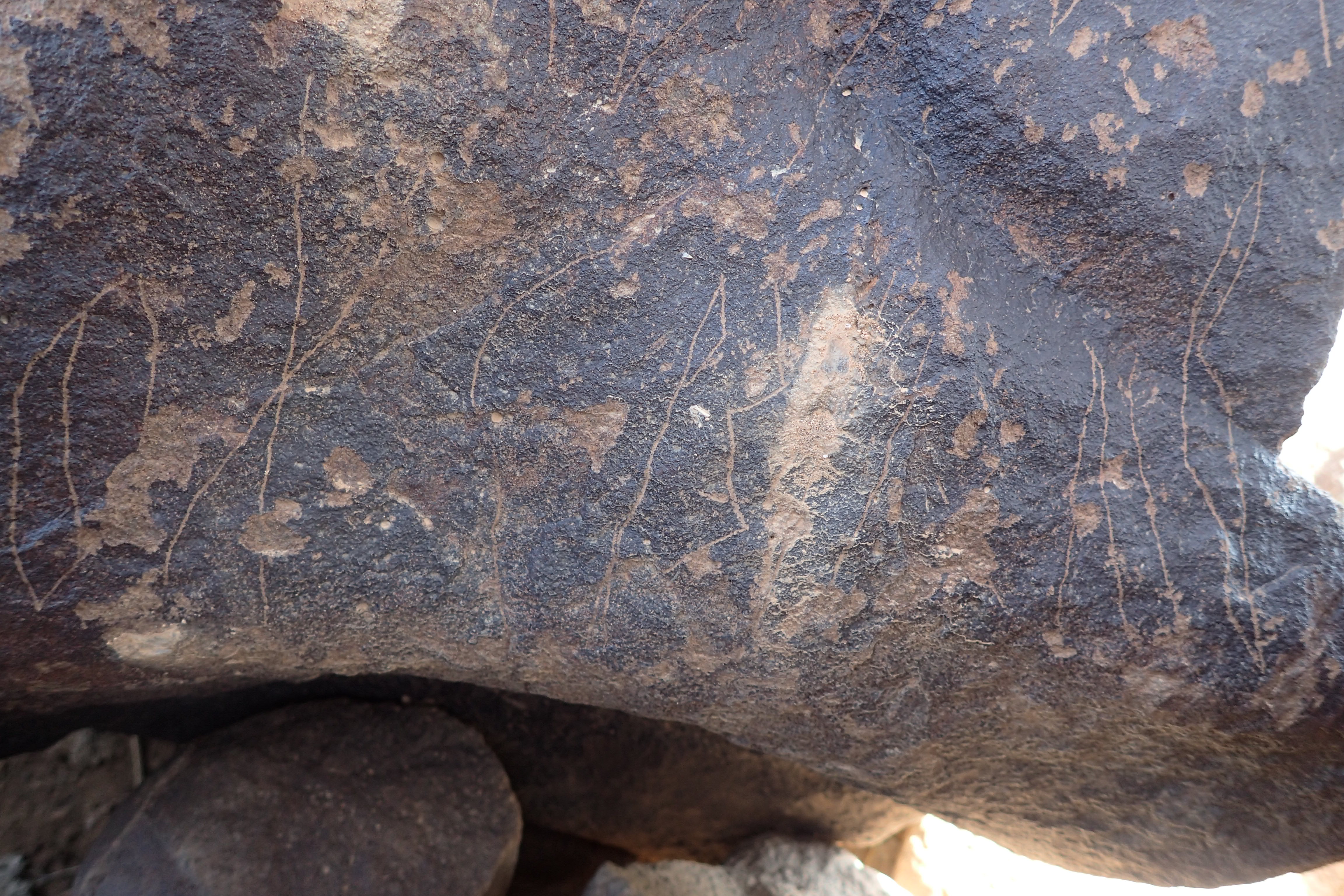 Image of siglum BES20 1306