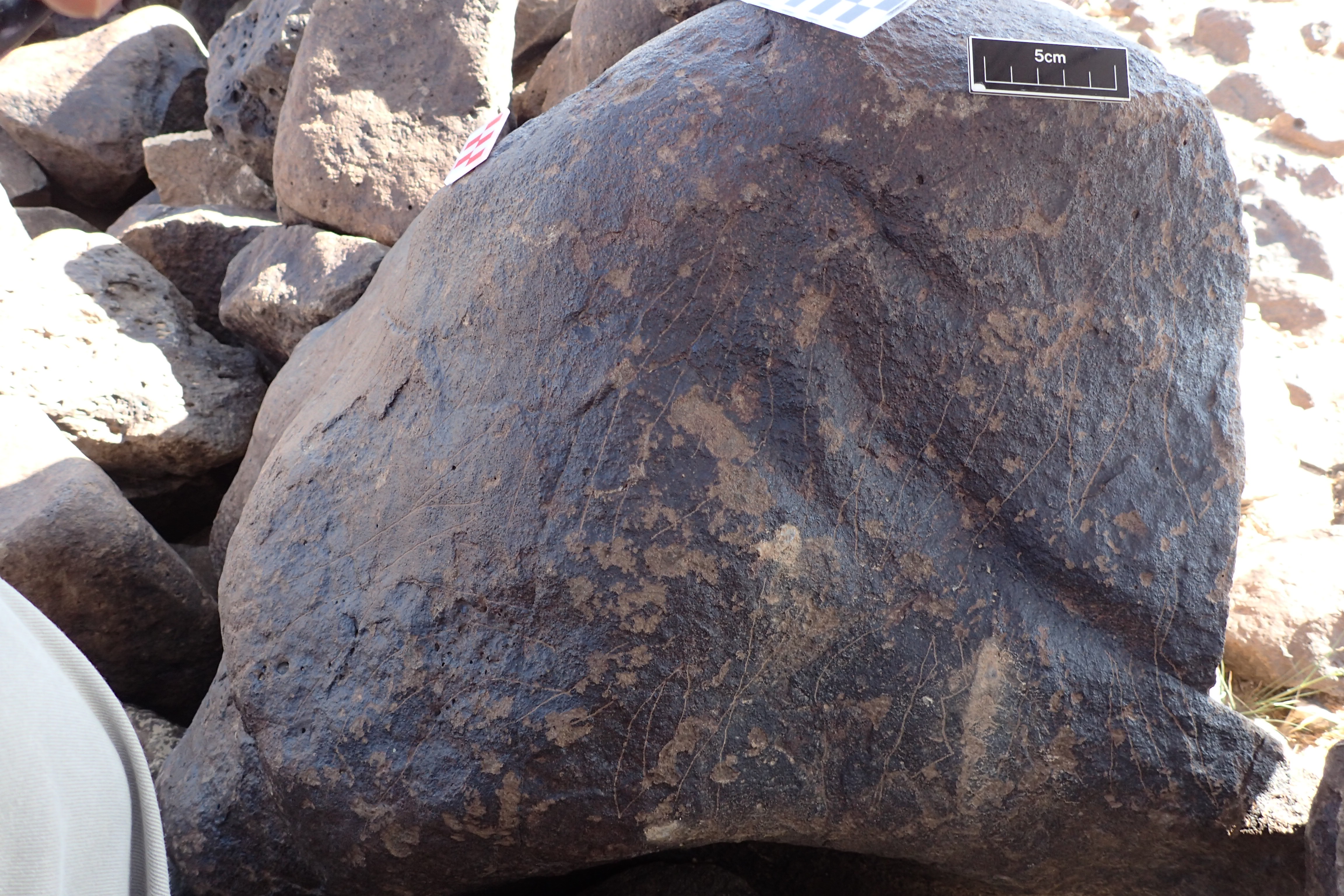 Image of siglum BES20 1306
