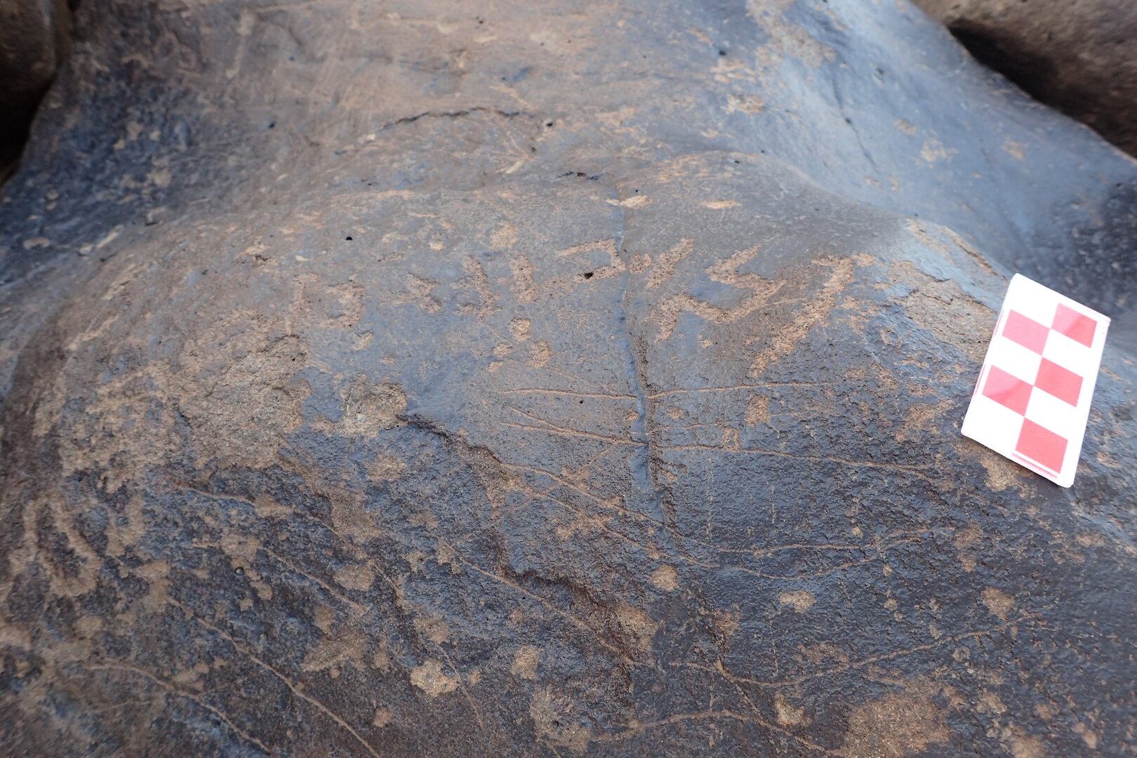 Image of siglum BES20 1306
