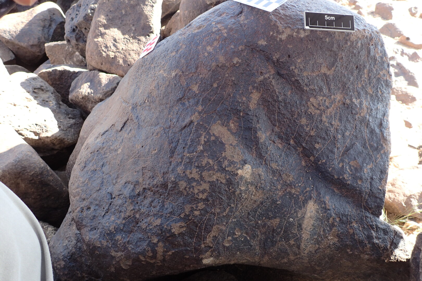 Image of siglum BES20 1306