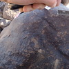 Image of siglum BES20 1306