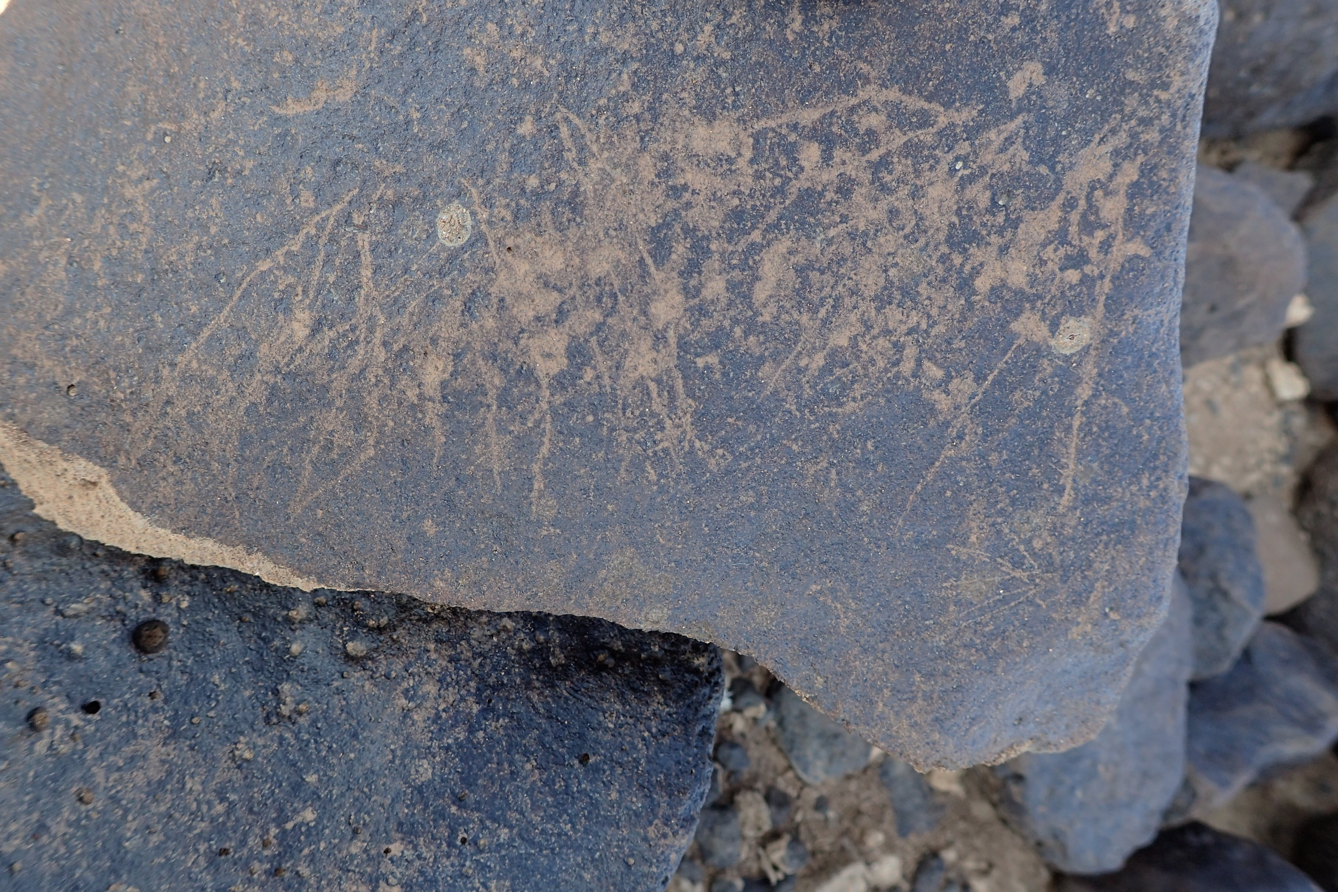 Image of siglum BES20 1308