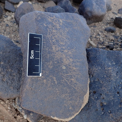 Image of siglum BES20 1308