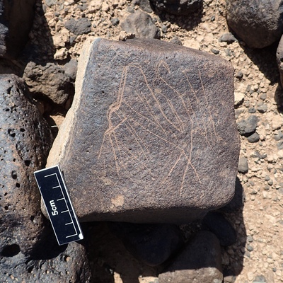 Image of siglum BES20 1309