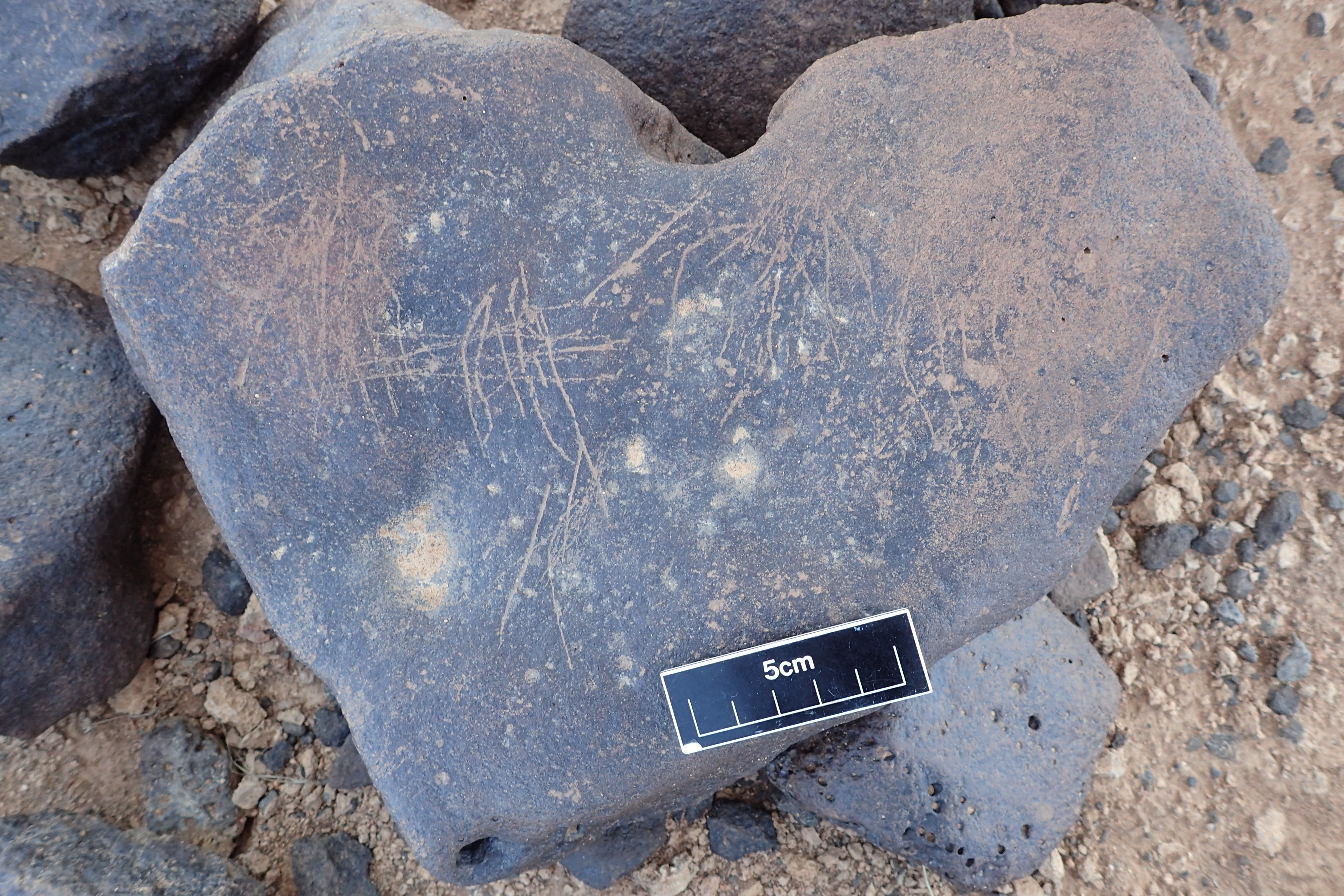 Image of siglum BES20 1310