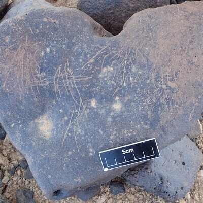 Image of siglum BES20 1310