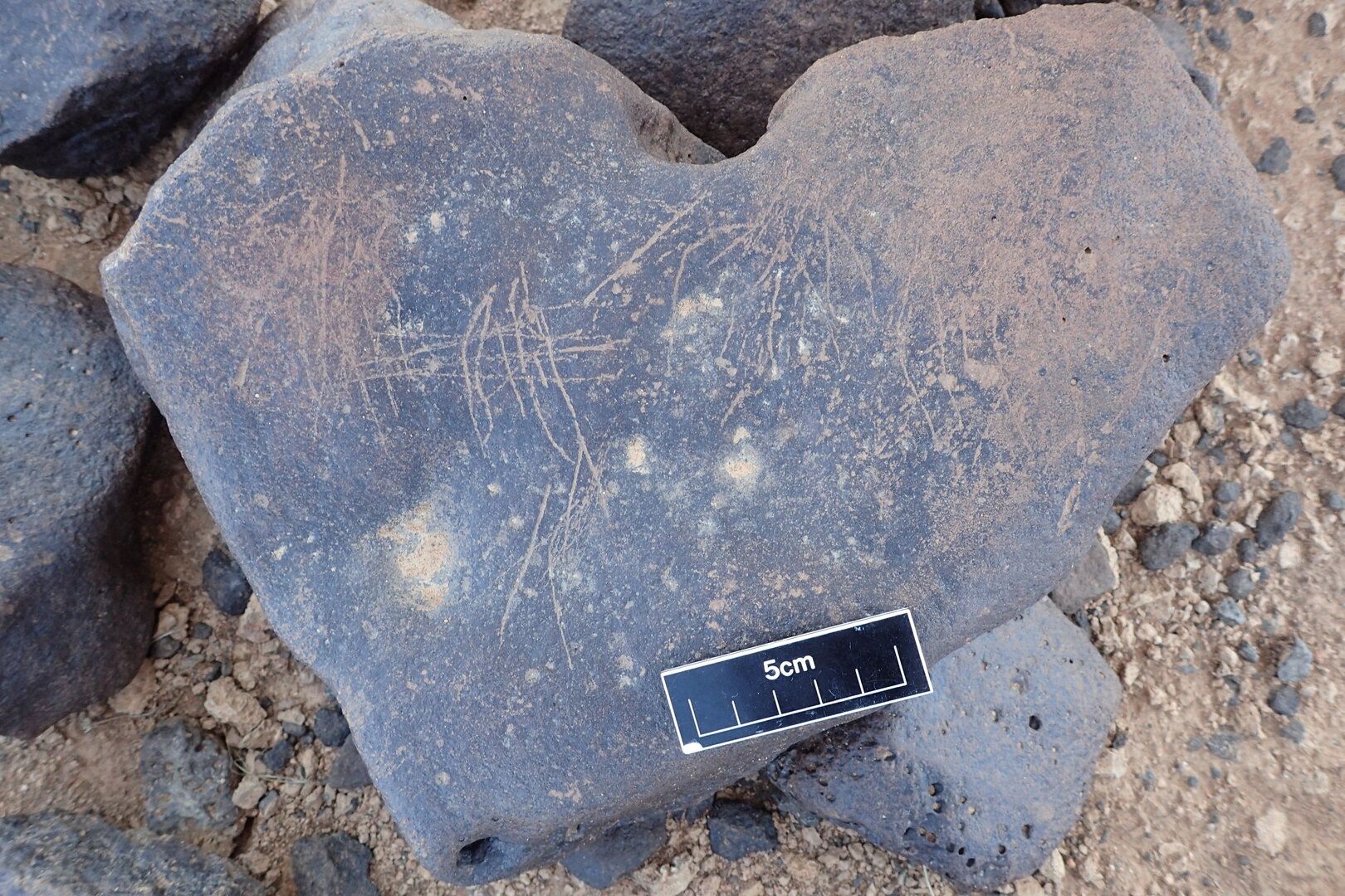 Image of siglum BES20 1310